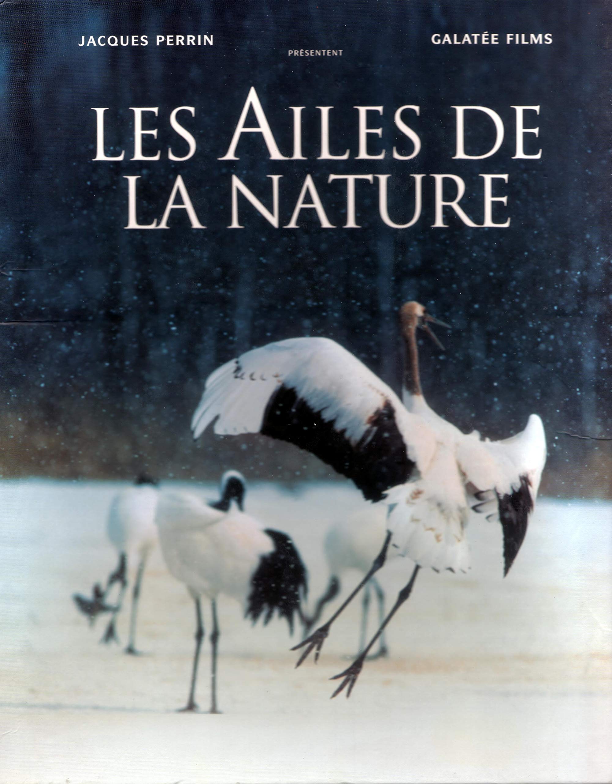 Les Ailes de la nature [Édition Collector Numérotée] 3346030012208