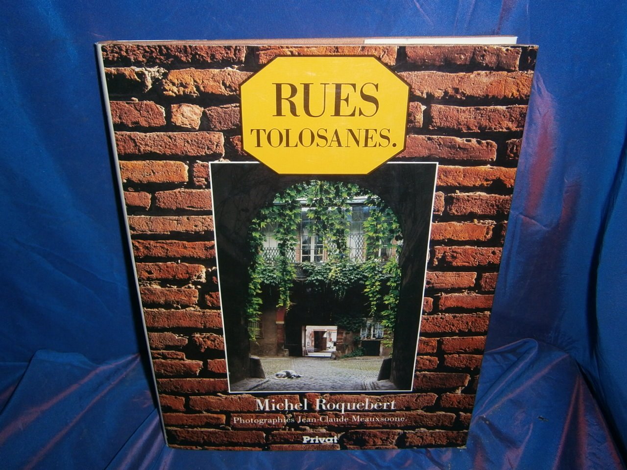 Rues tolosanes / Rues toulousaines 9782708990418