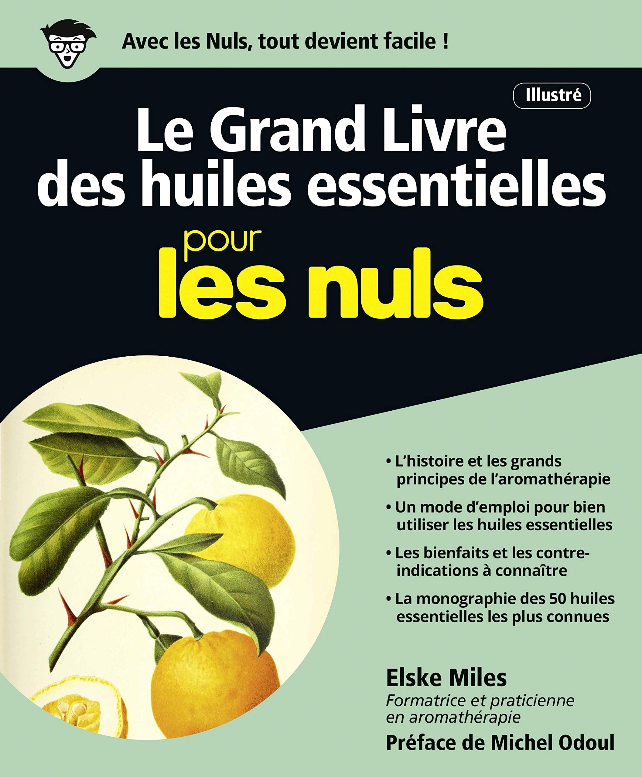 Le Grand Livre des huiles essentielles pour les Nuls 9782754090292