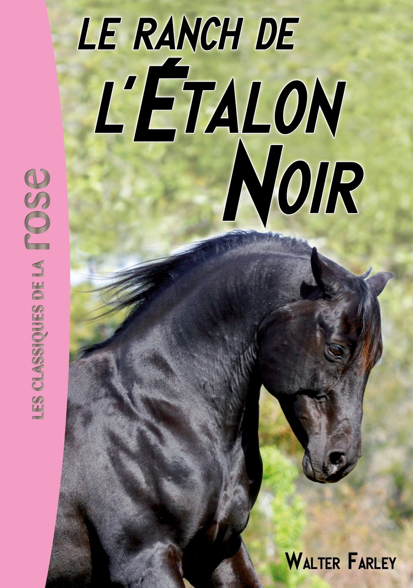 L'Étalon noir 03 - Le ranch de l'Étalon Noir 9782012021372