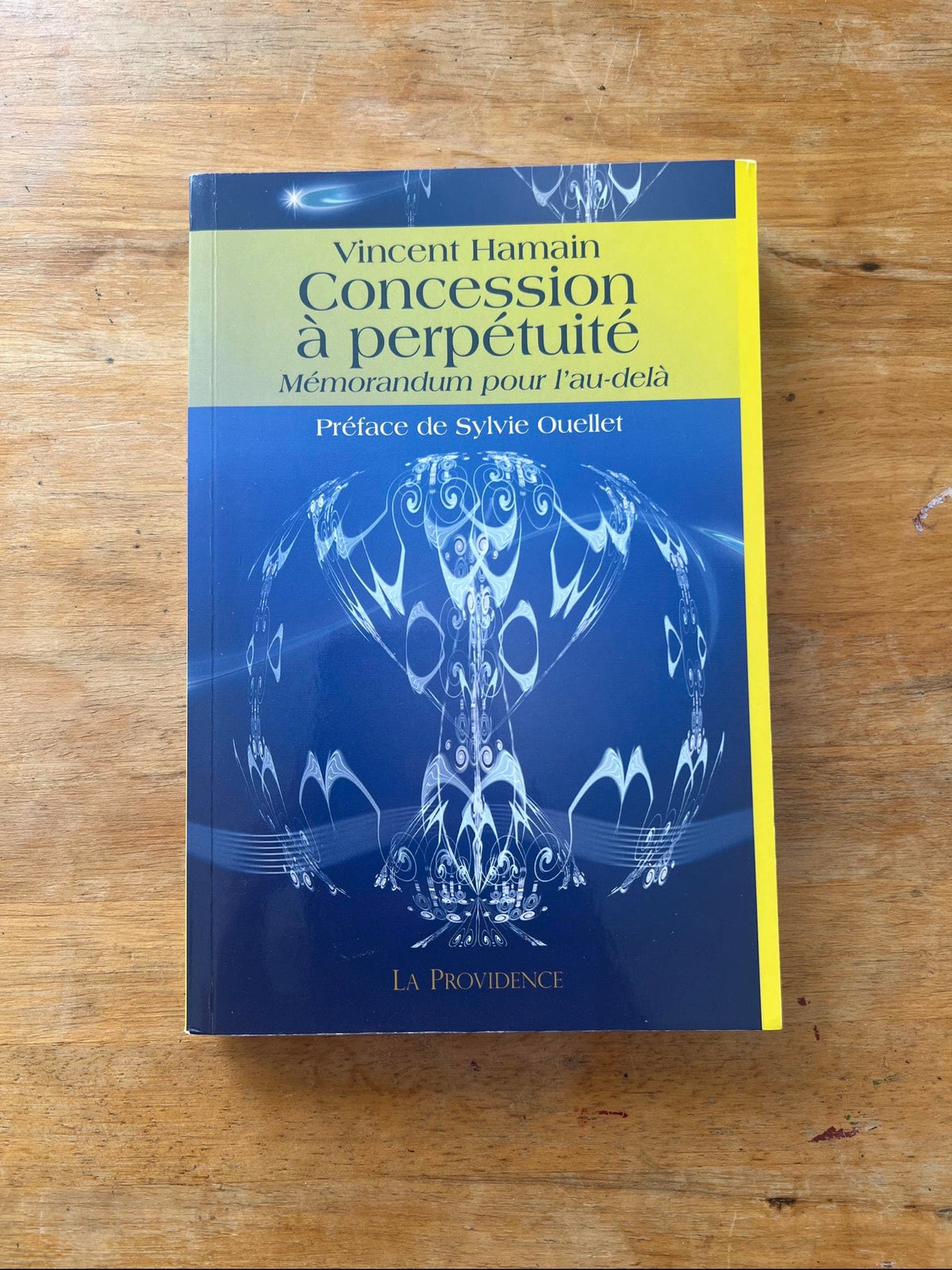 Concession à perpétuité - Mémorandum pour l'au-delà 9782930678368