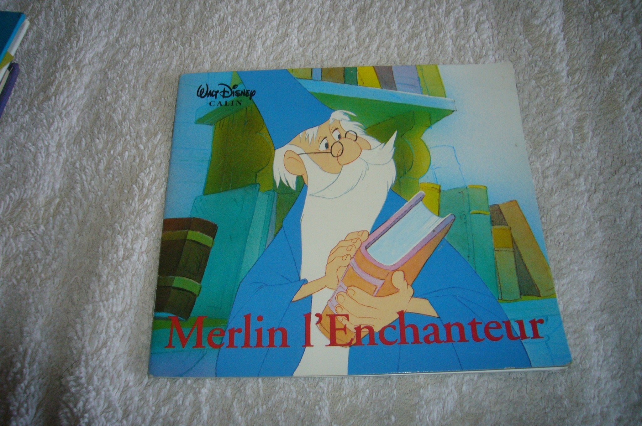 Merlin l'enchanteur 9782230001699