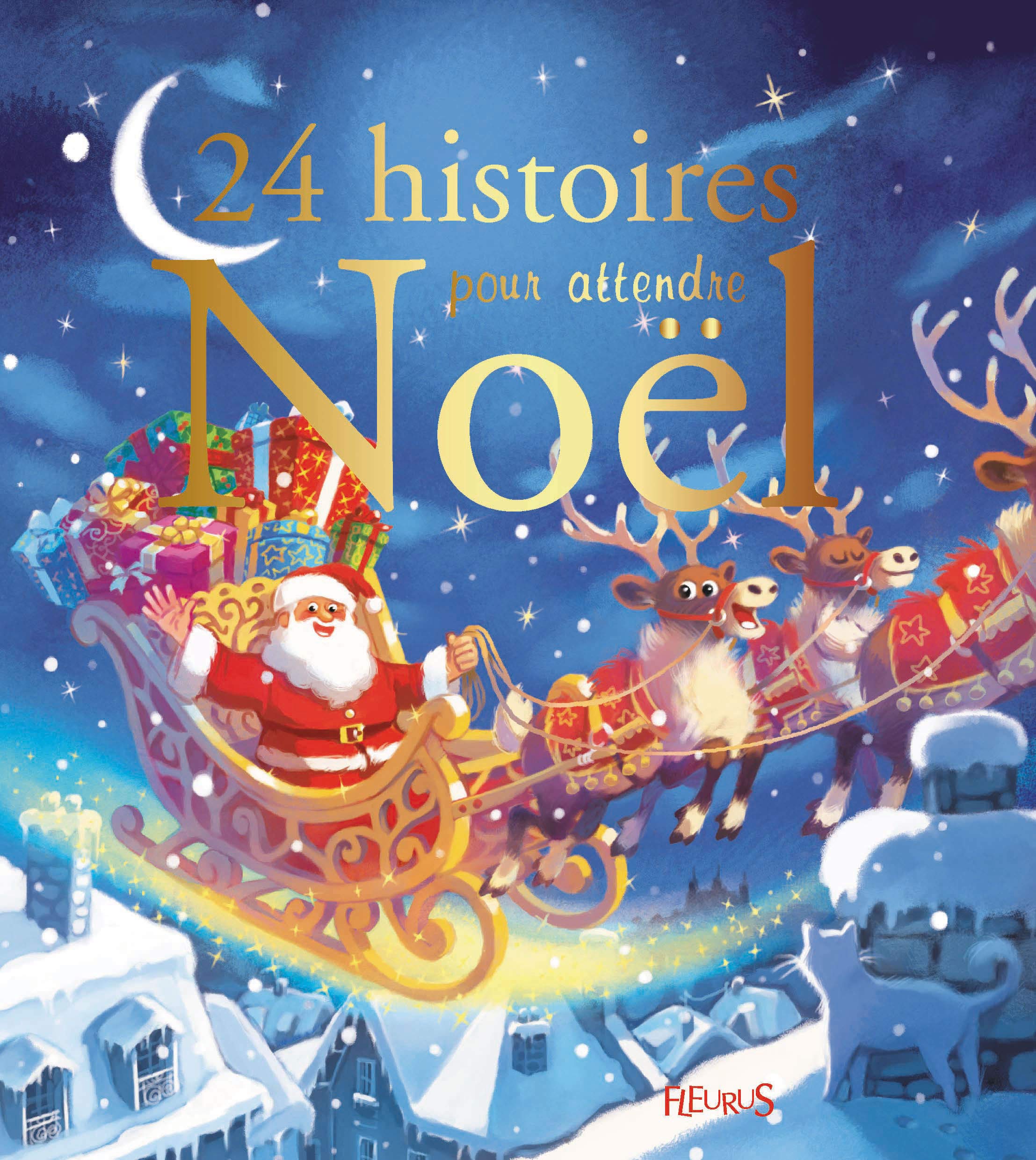 24 histoires pour attendre Noël 9782215118022