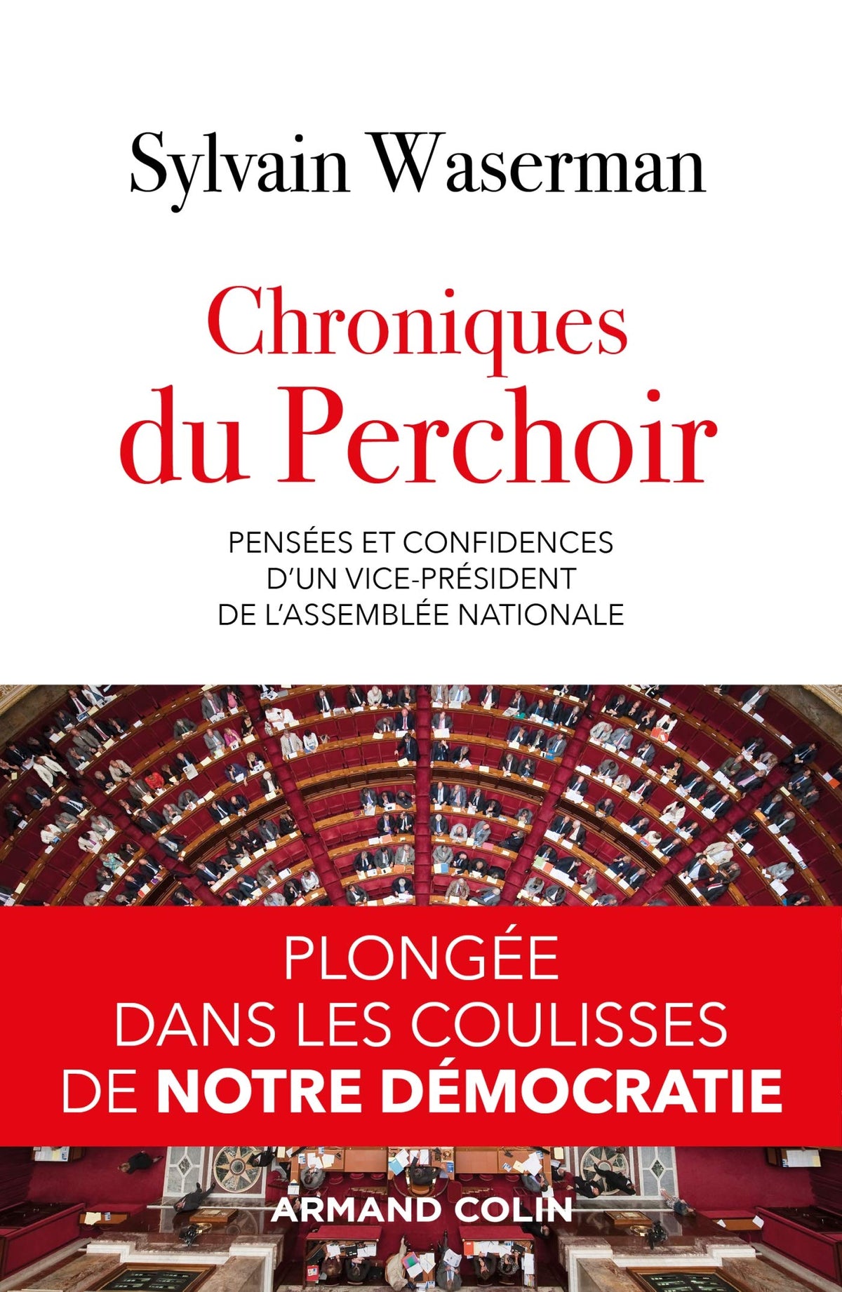 Chroniques du Perchoir - Pensées et confidences d'un vice-président de l'Assemblée nationale: Pensées et confidences d'un vice-président de l'Assemblée nationale 9782200627706