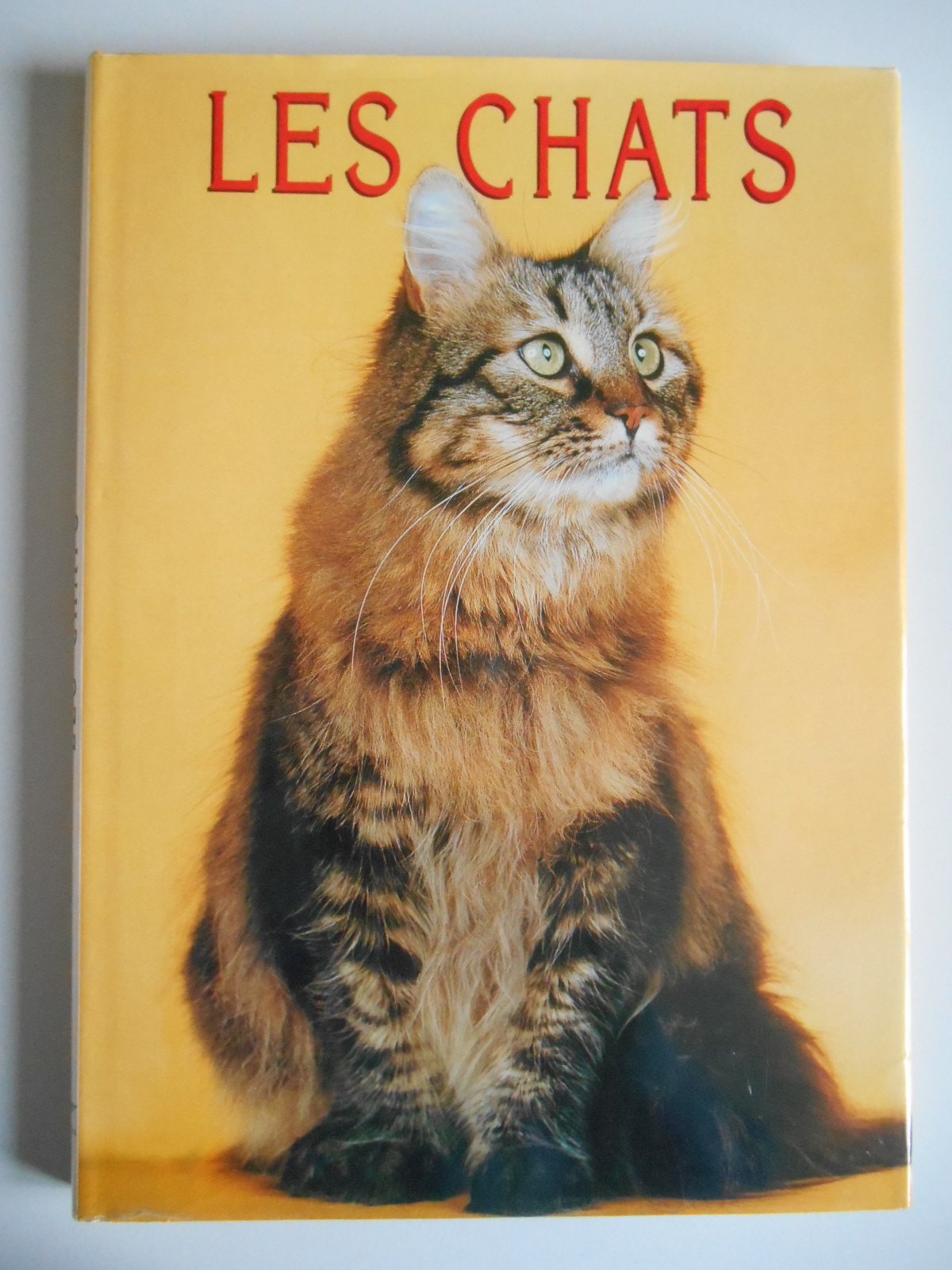 Des chats ! 9782847900767