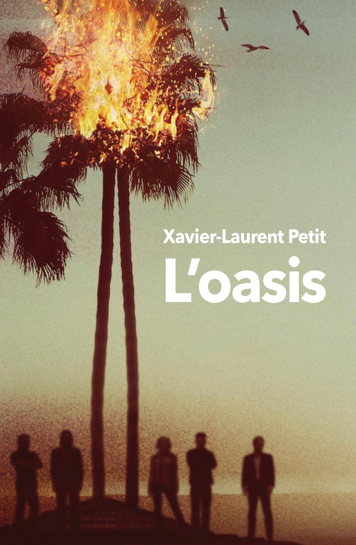 L'oasis 9782211236317