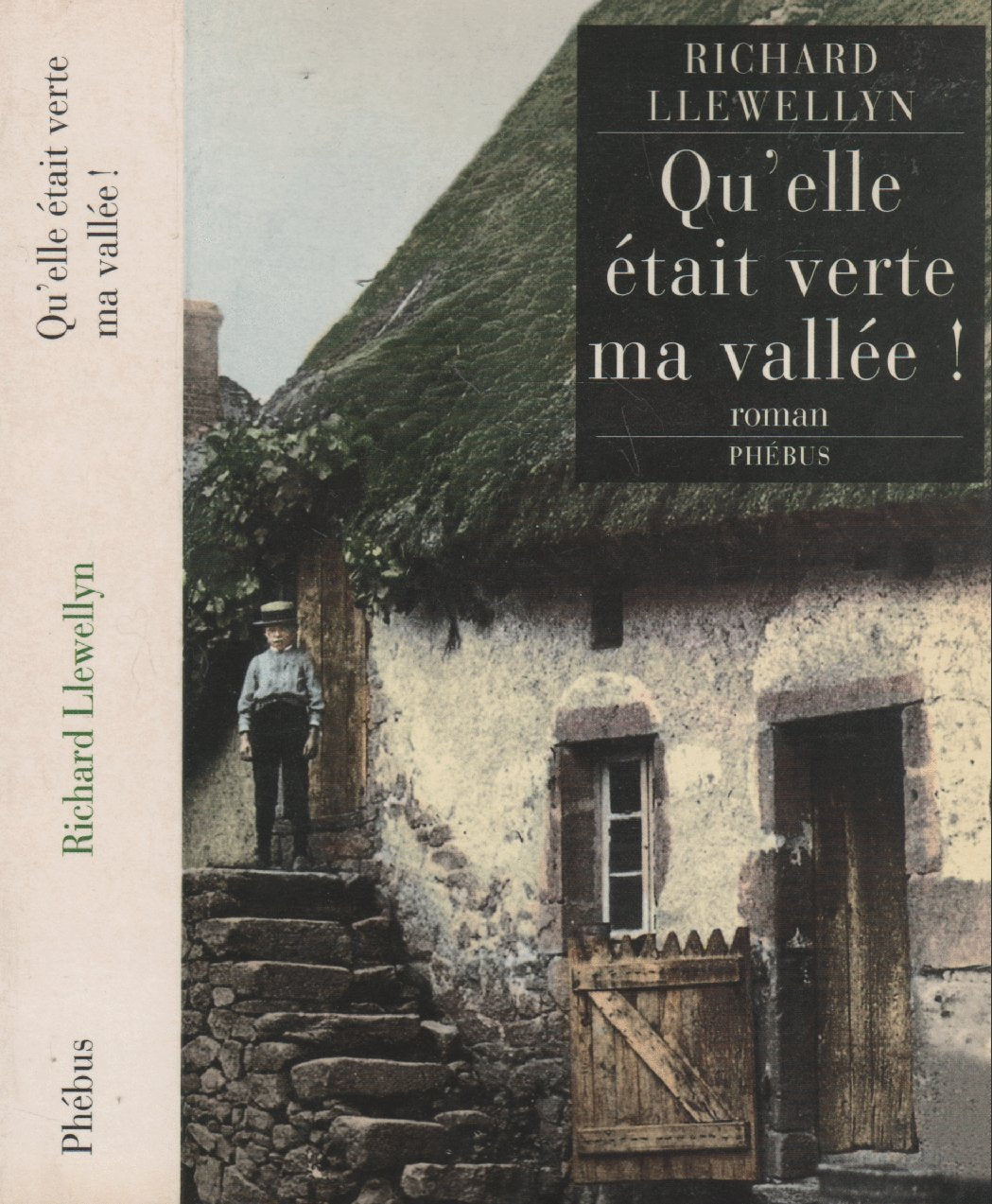 Qu'elle était verte ma vallée ! 9782859405120