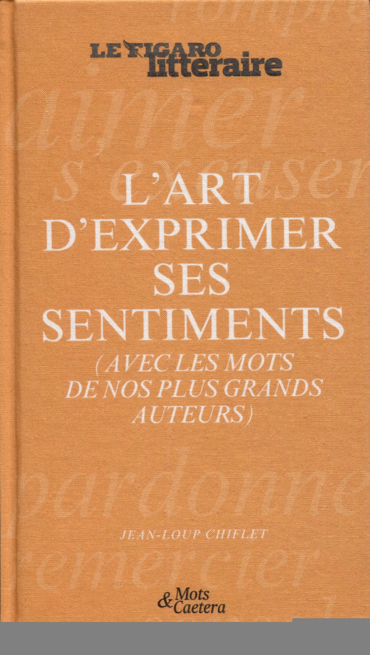 L'Art d'exprimer ses sentiments: (avec les mots de nos plus grands auteurs) 9782810508617