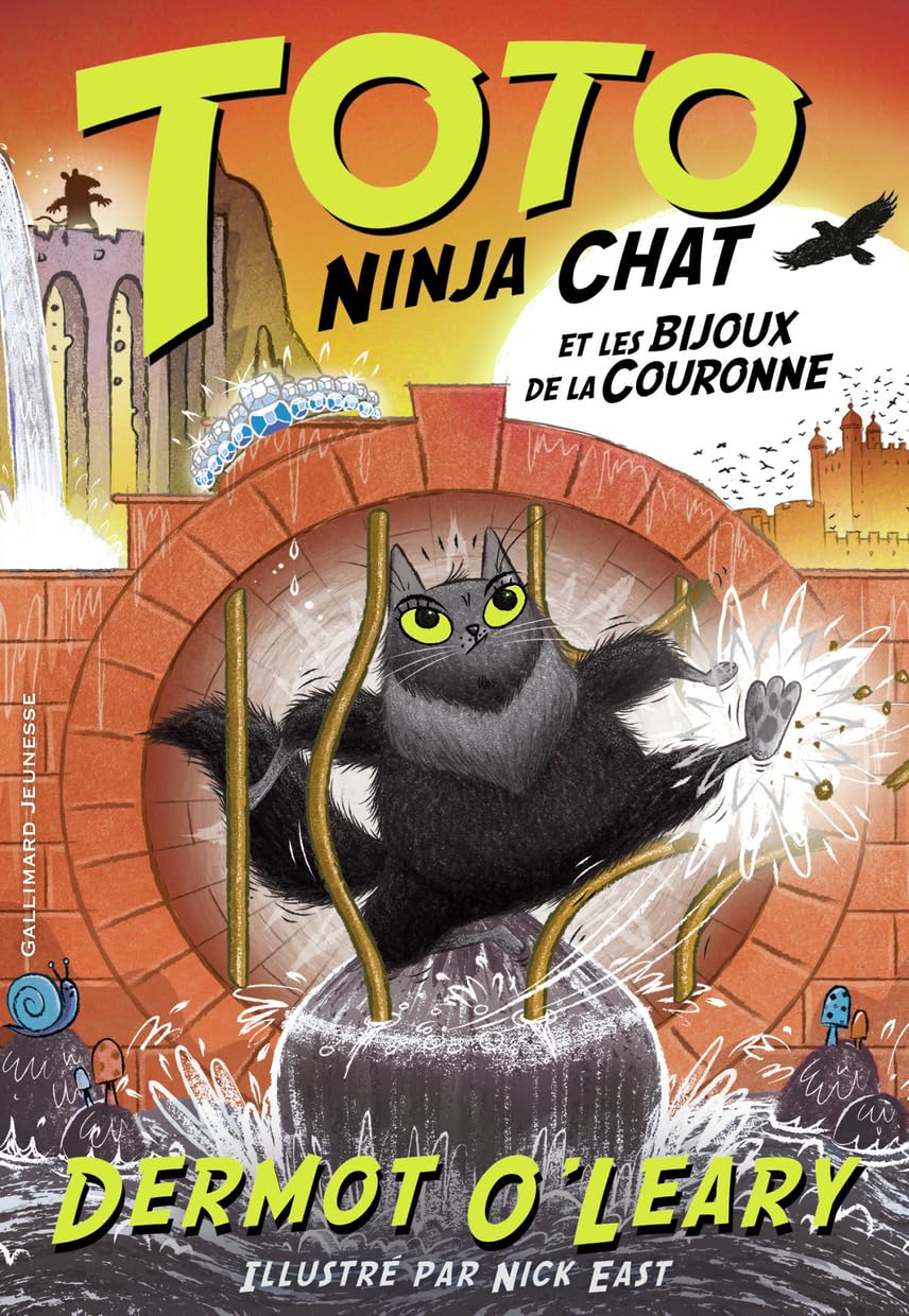 TOTO NINJA CHAT ET LES BIJOUX DE LA COURONNE 9782075154109