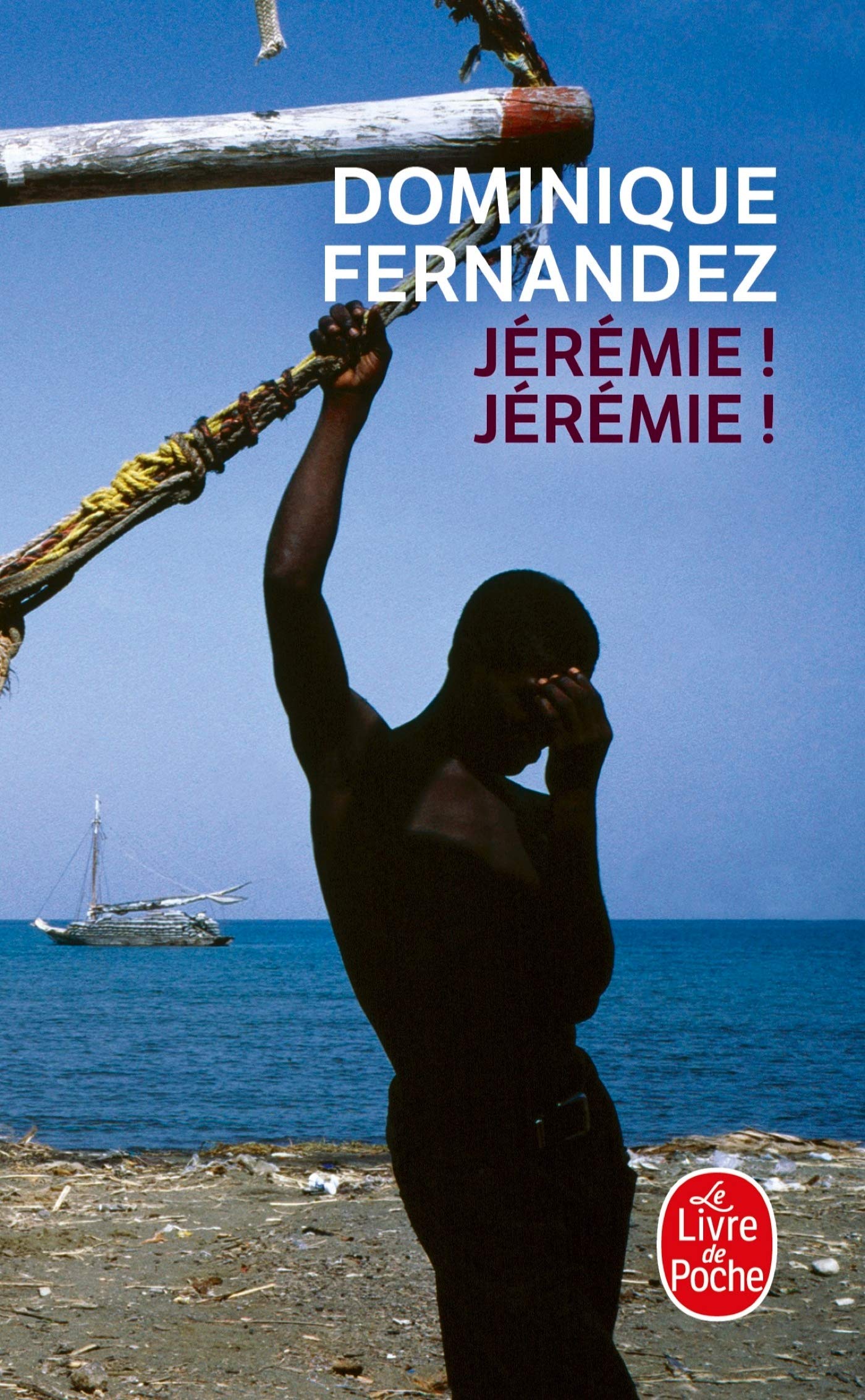 Jérémie ! Jérémie ! 9782253119494