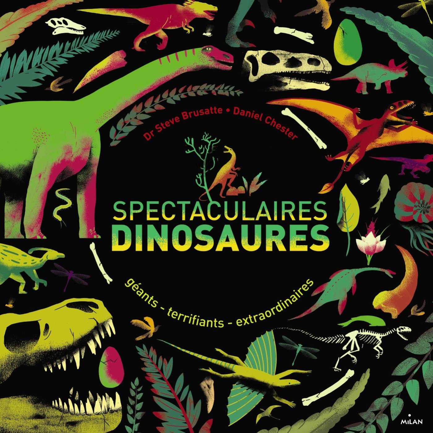 Spectaculaires dinosaures: Géants, terrifiants, extraordinaires 9782745980472