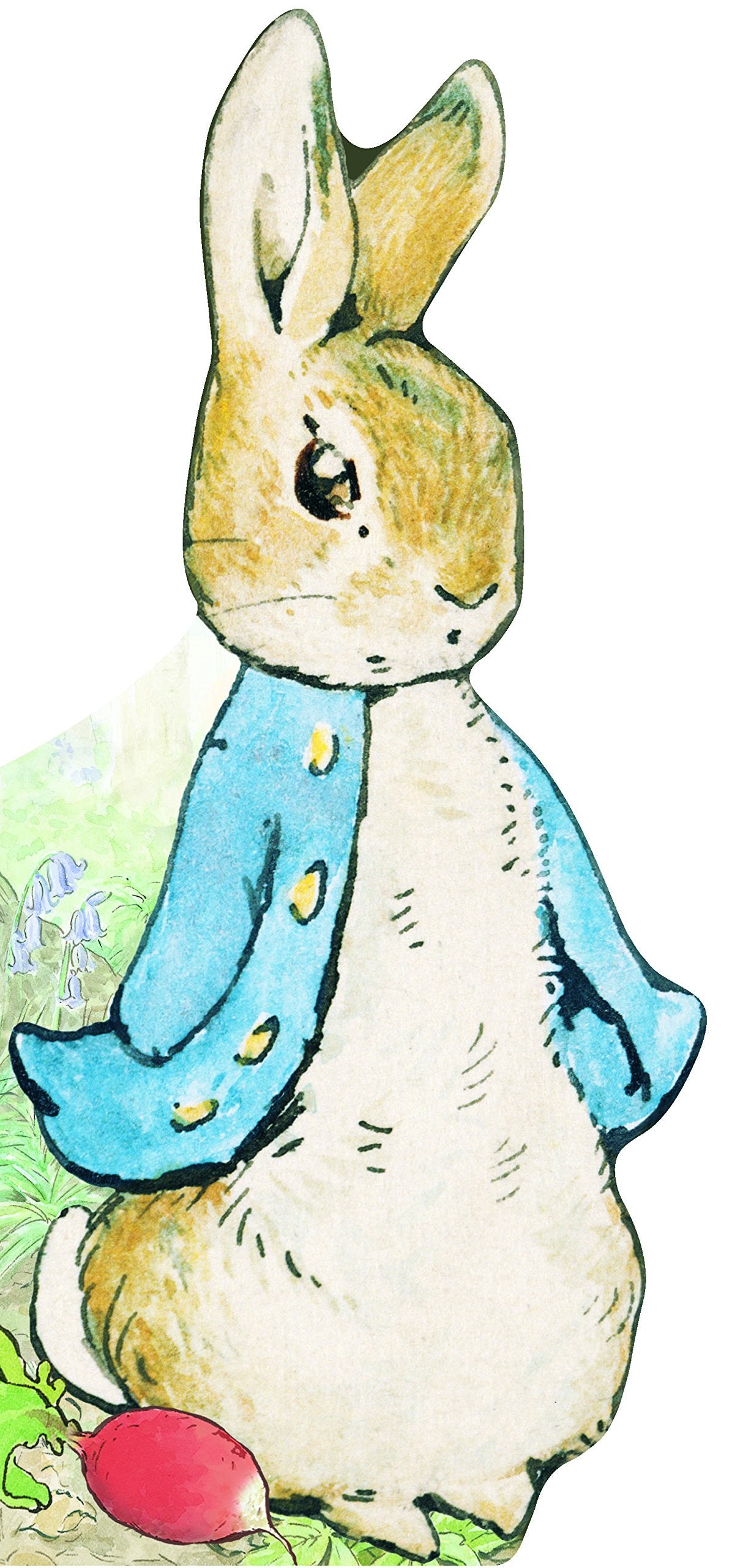 BONJOUR, PIERRE LAPIN 9782075082105