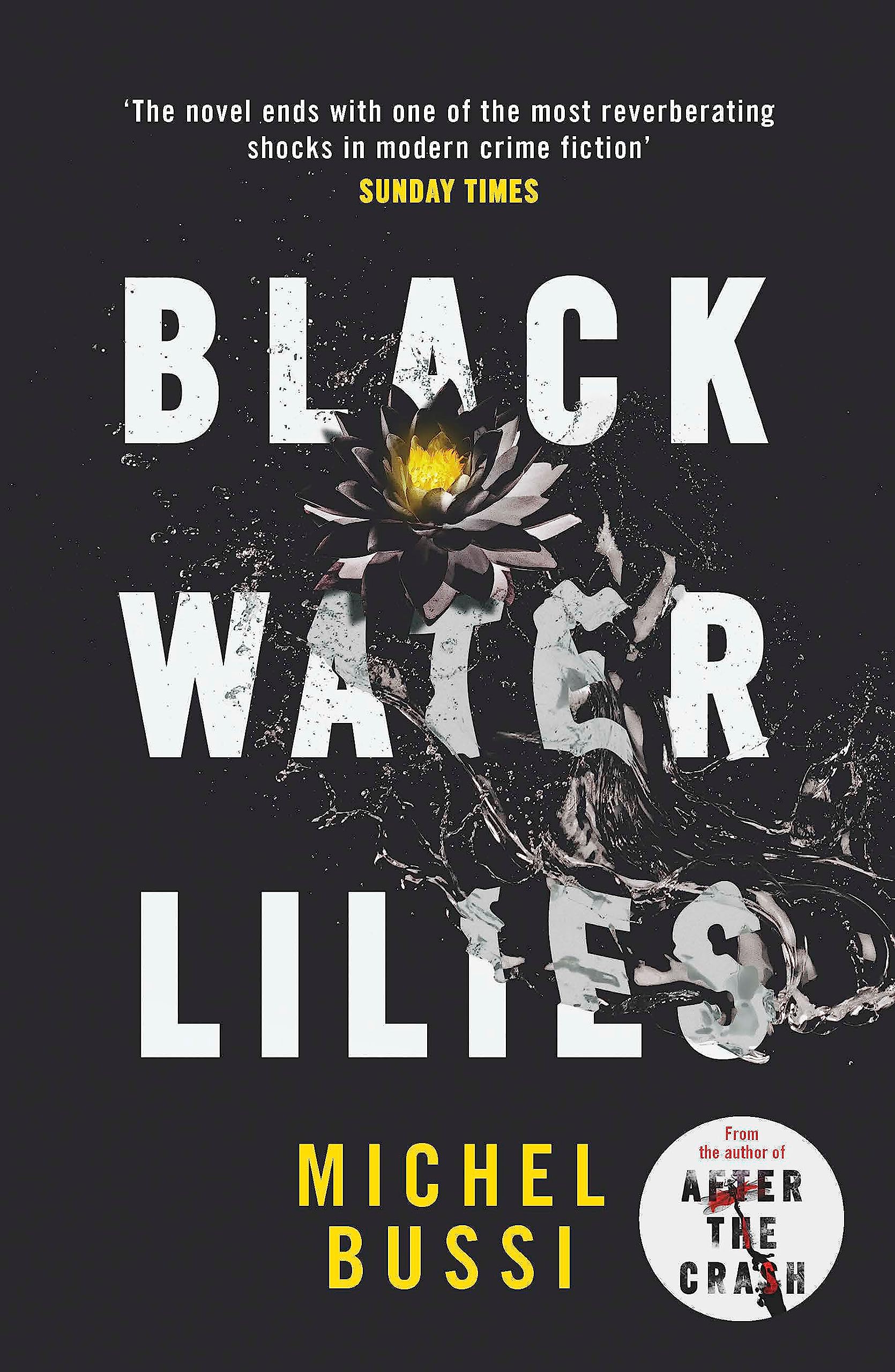 Black Water Lilies: 'A dazzling, unexpected and haunting masterpiece' Daily Mail 9781474601764