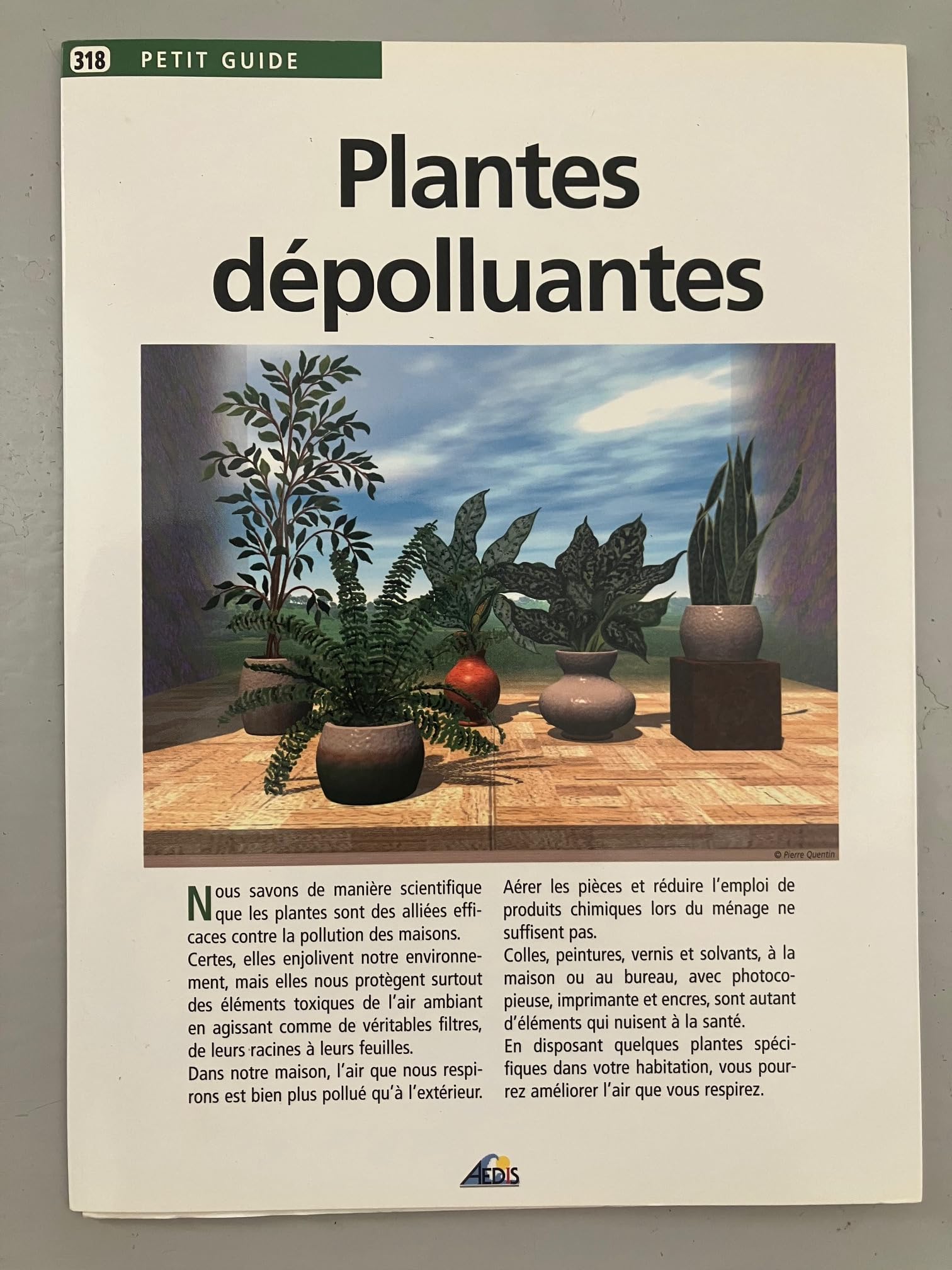 PG318 - Plantes dépolluantes 9782842596095
