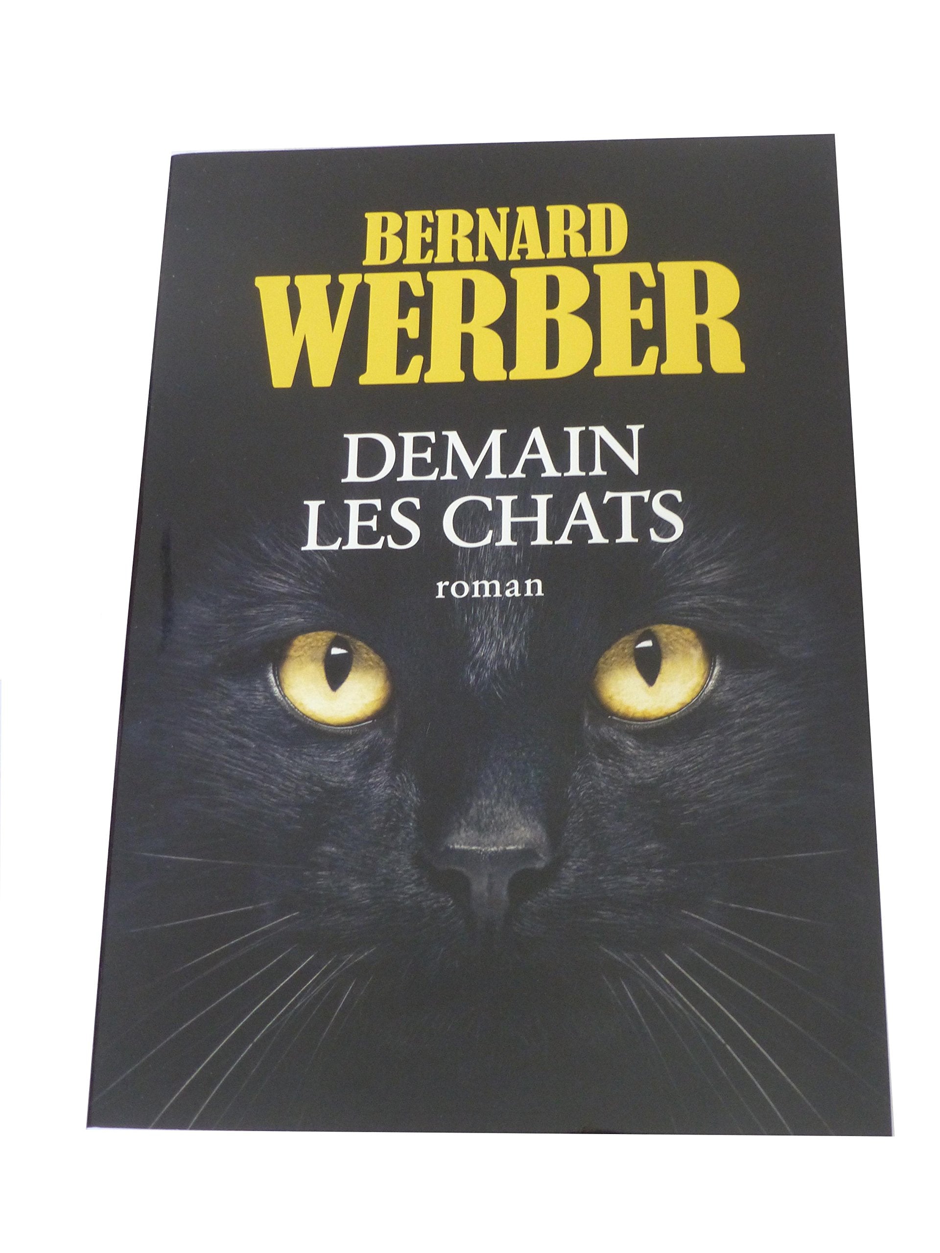 Demain les chats 9782298119732
