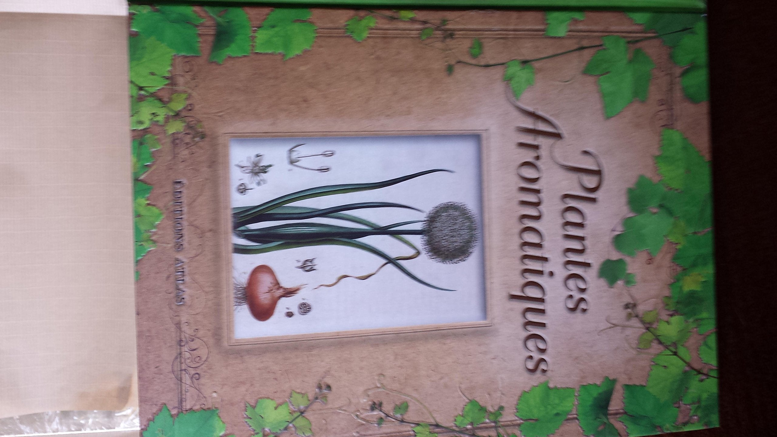 plantes aromatiques 9782731250862