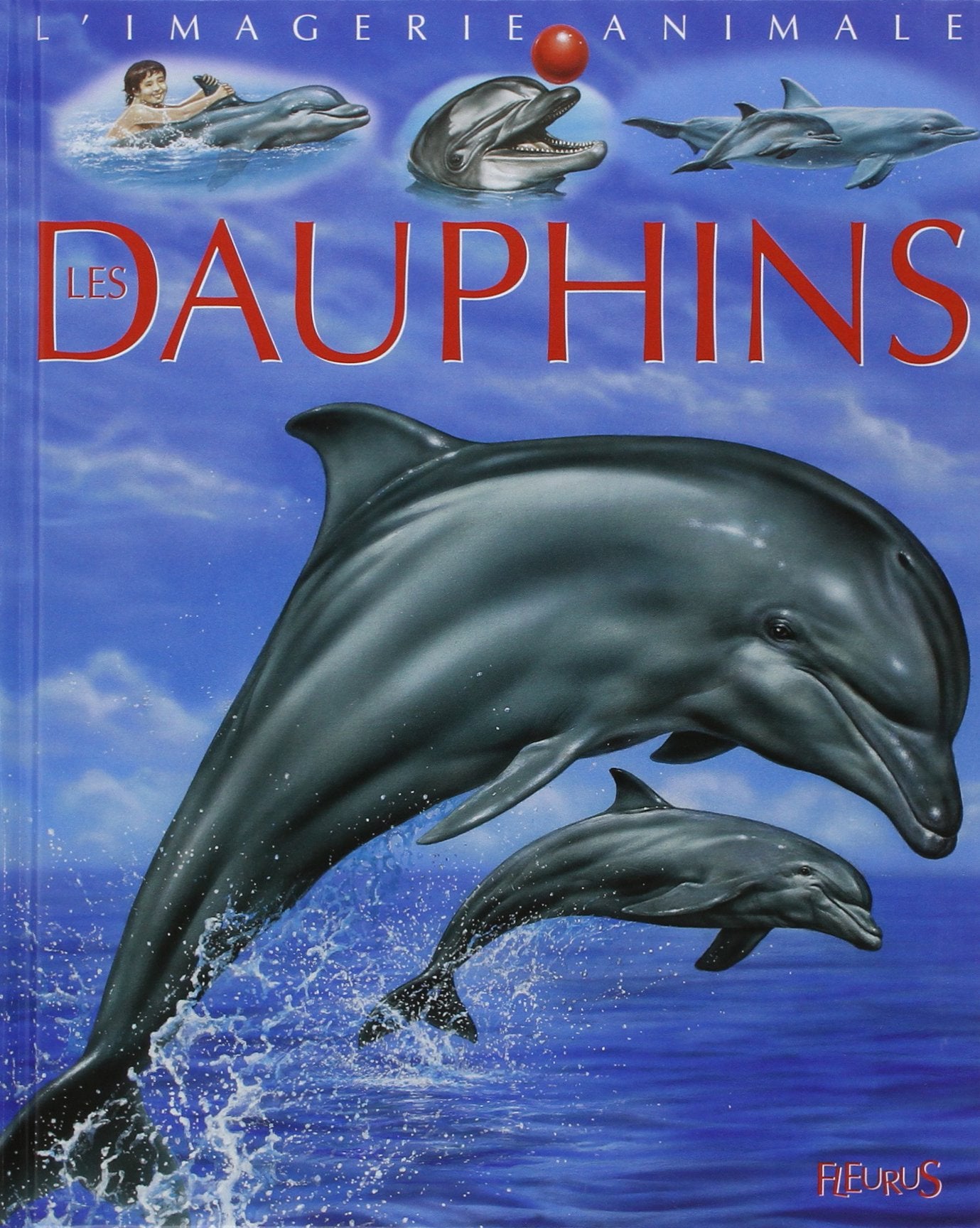 Dauphins 9782215083047