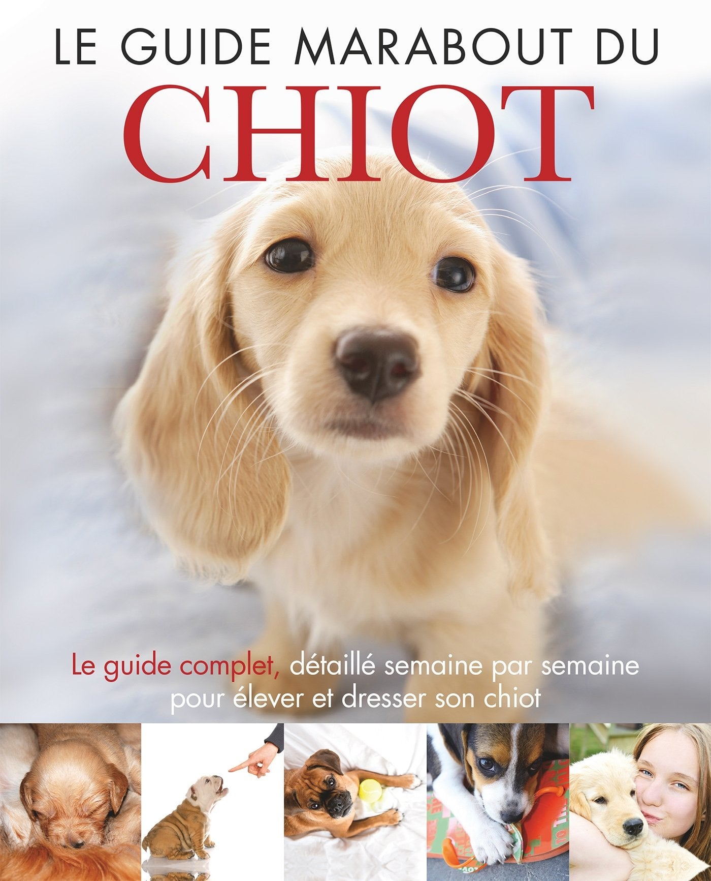 Le guide Marabout du chiot 9782501090155