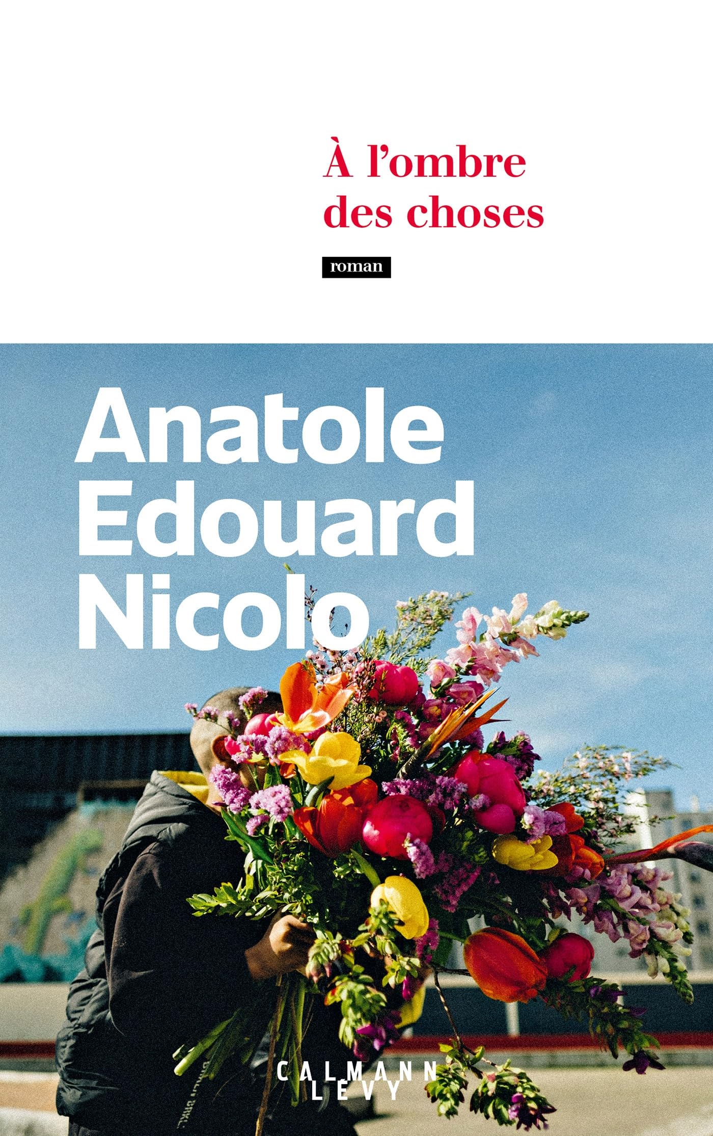 À l'ombre des choses 9782702191521