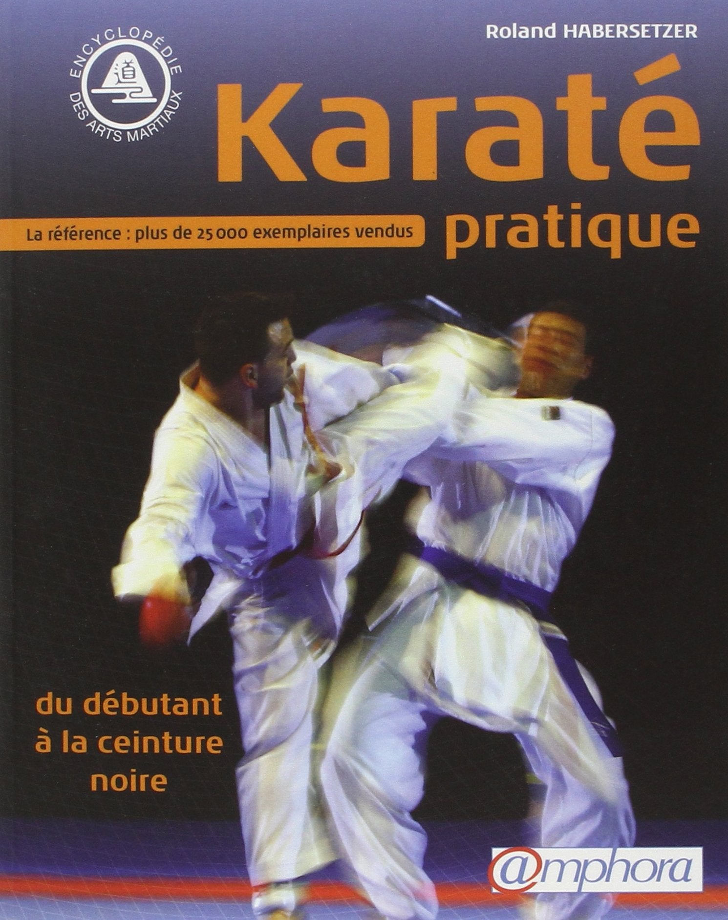 Karaté pratique : Du débutant à la ceinture noire 9782851806321