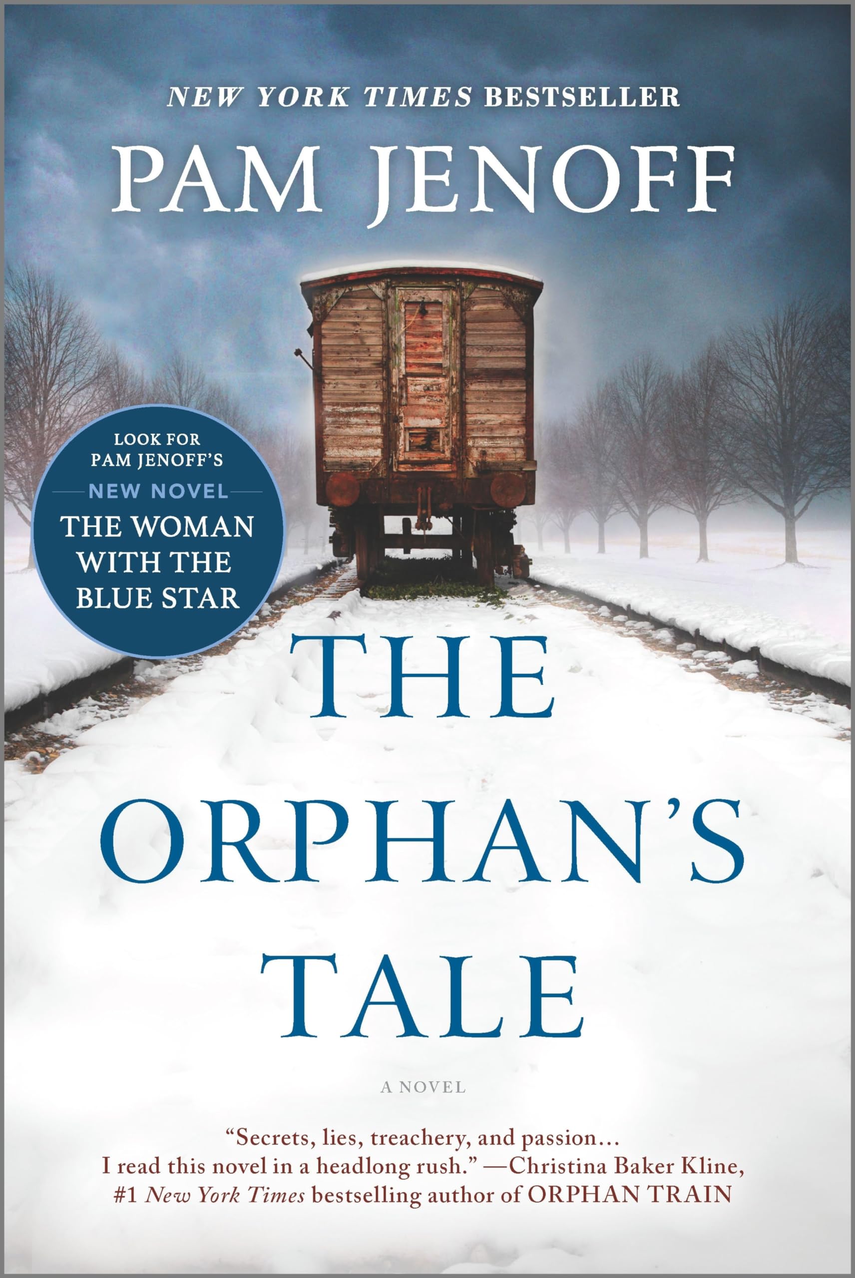 The Orphan's Tale: A Novel 9780778319818