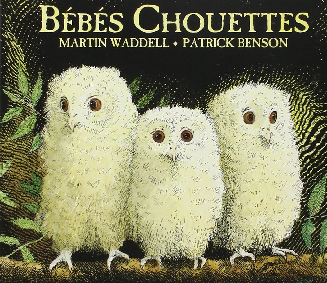 Bébés Chouettes 9782877678612
