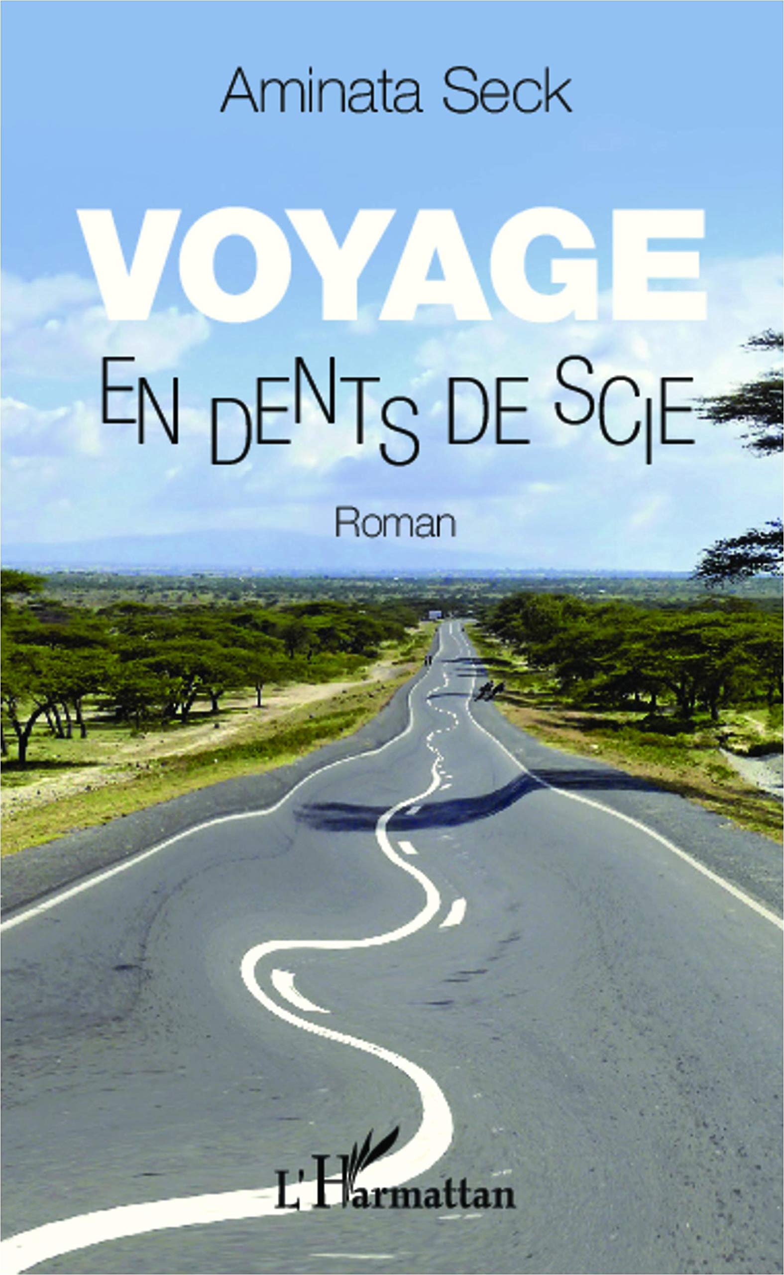 Voyage en dents de scie: Roman 9782296998605