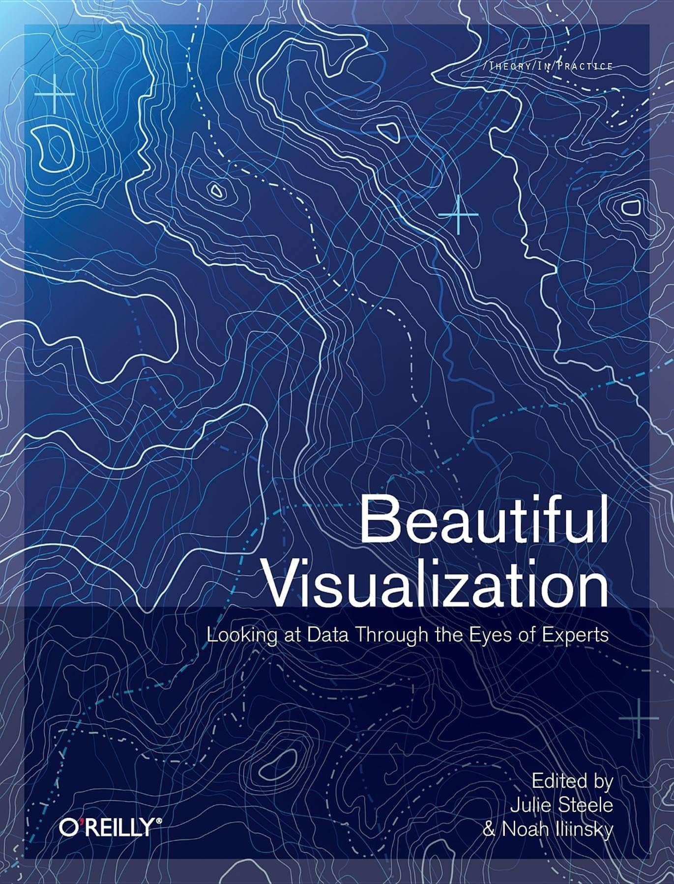 Beautiful Visualization 9781449379865