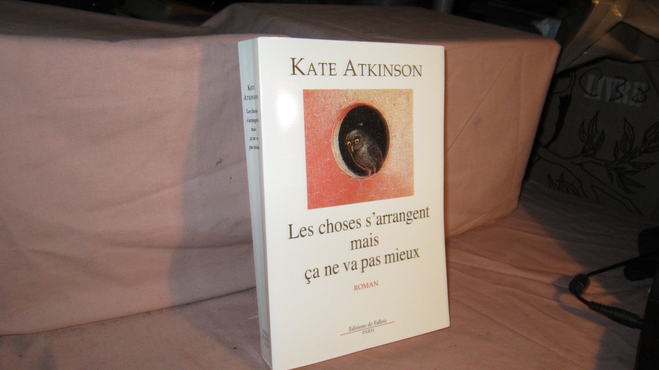 Les choses s'arrangent mais ça ne va pas mieux 9782877065993