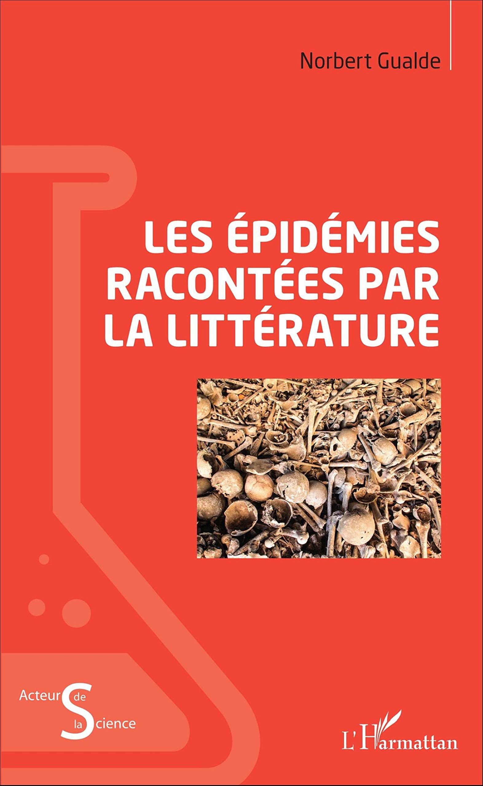 Les épidémies racontées par la littérature 9782343104027