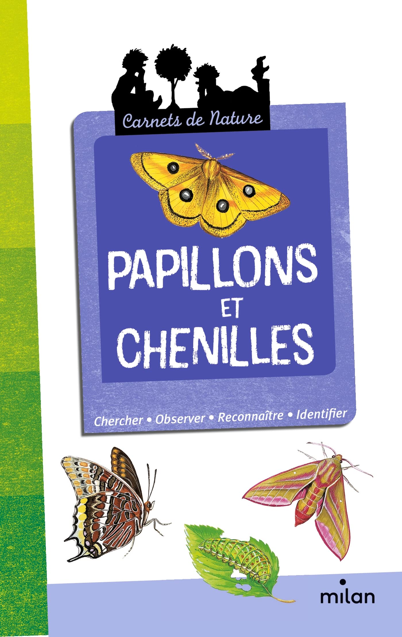 Papillons et chenilles 9782745956767