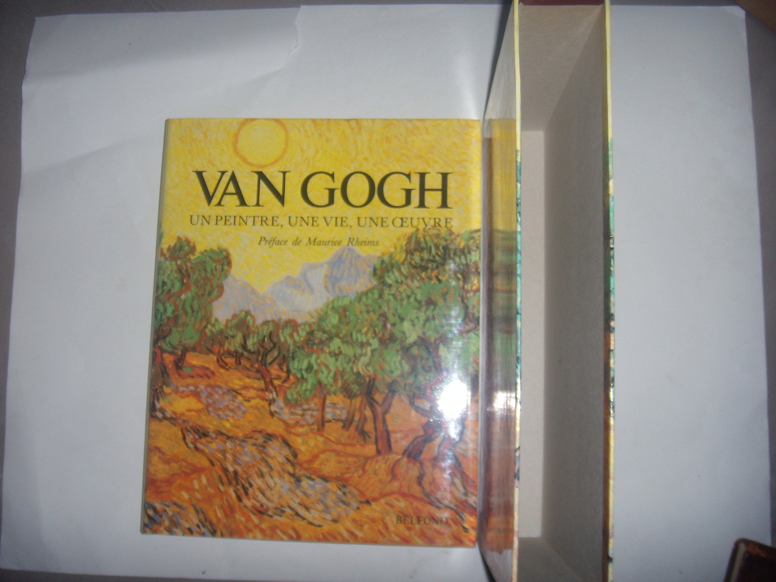 Van gogh : un peintre, une vie, une oeuvre 9782714424792
