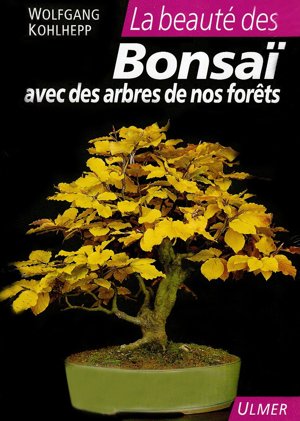 La beauté des Bonsaï: Avec des arbres de nos forêts 9782841380466