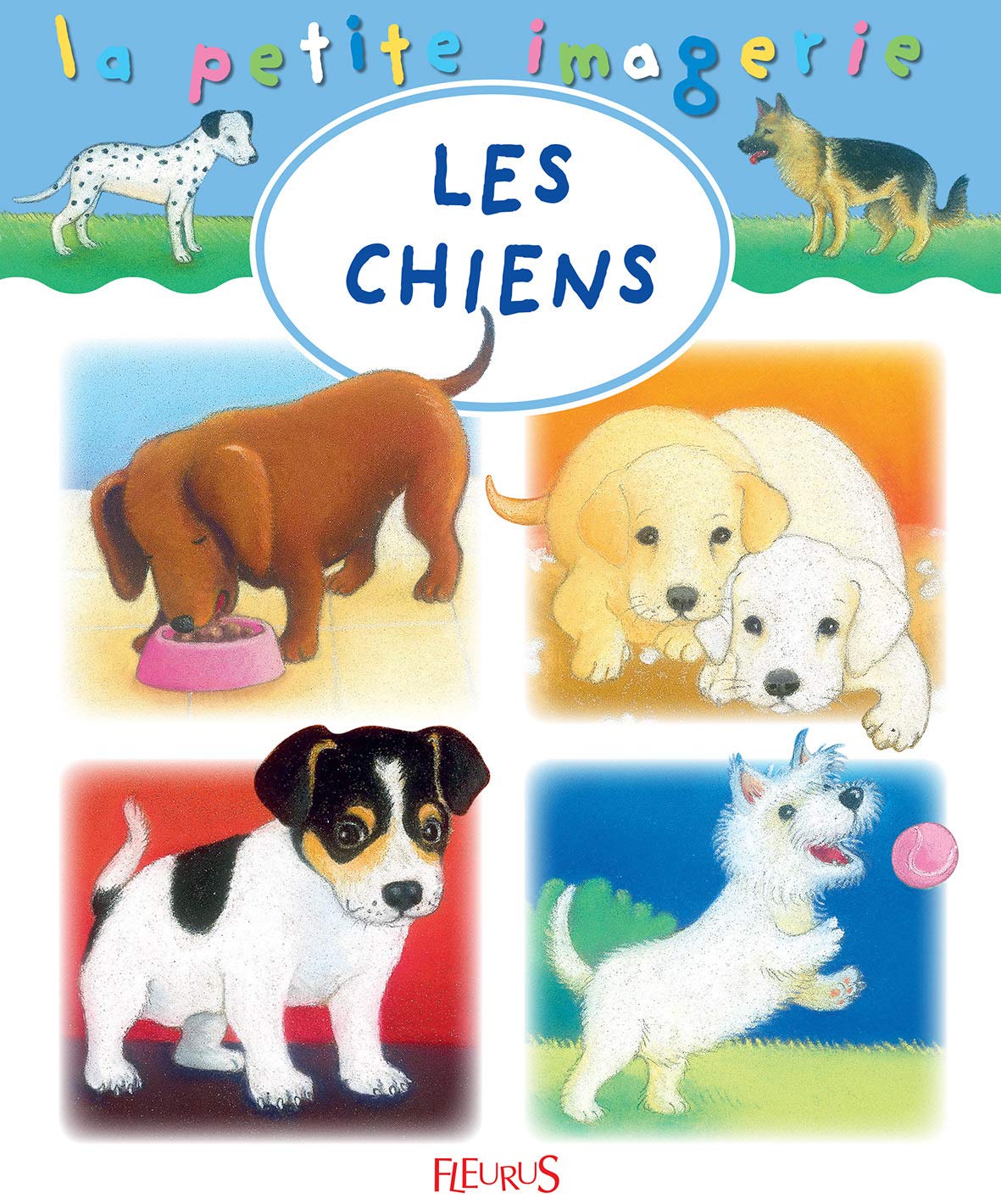 Les chiens 9782215142812