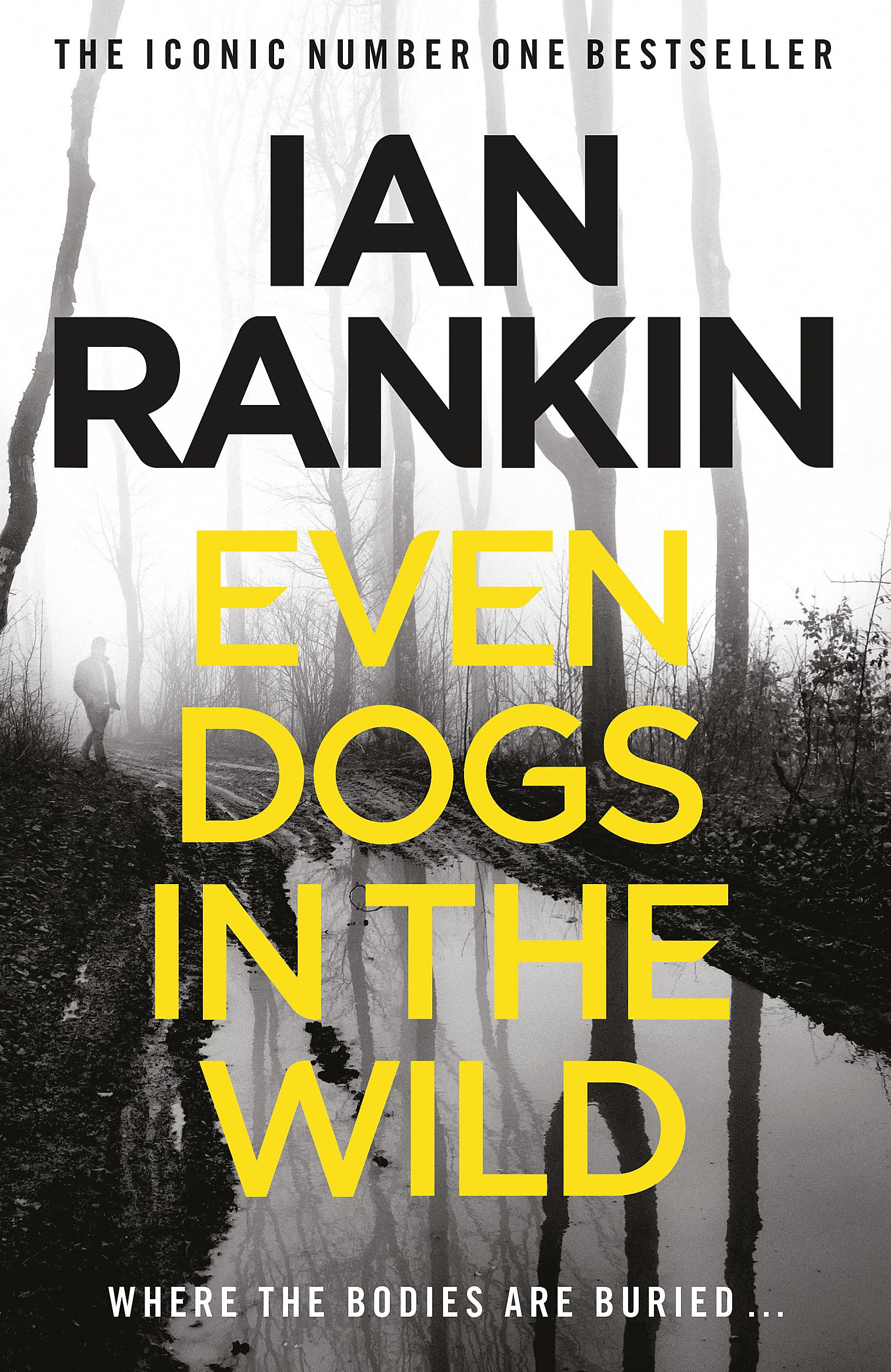 Even Dogs in the Wild: The number one bestselling series that inspired BBC One’s REBUS 9781409159384