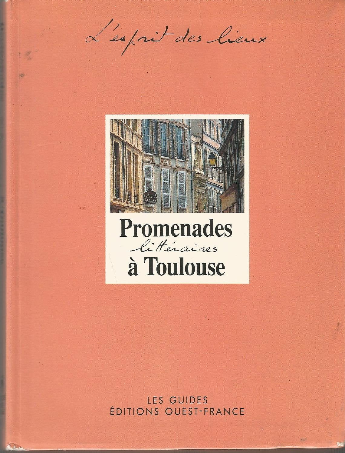 Promenades litteraires a toulouse 9782737304316