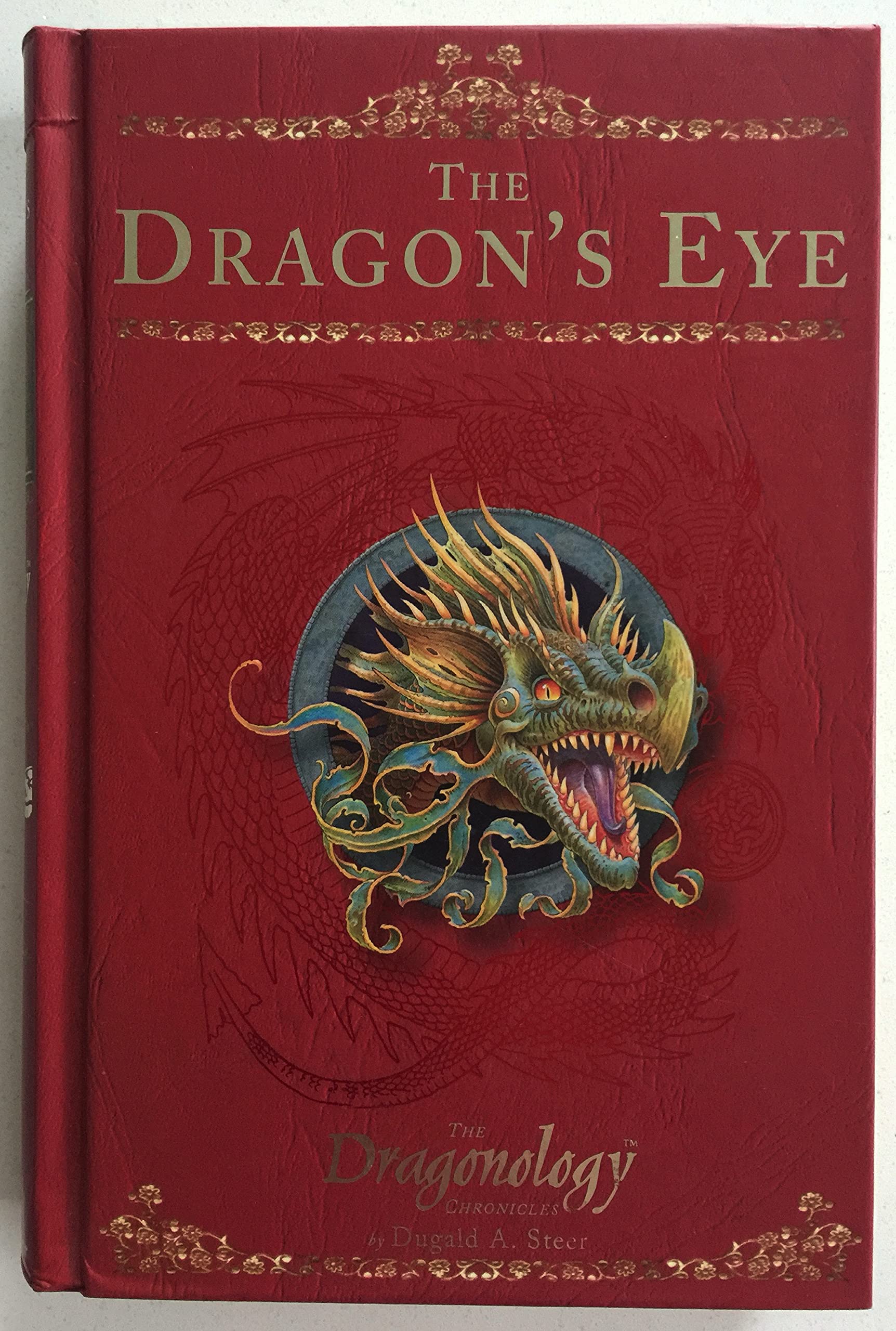 The Dragon's Eye 9781840115338