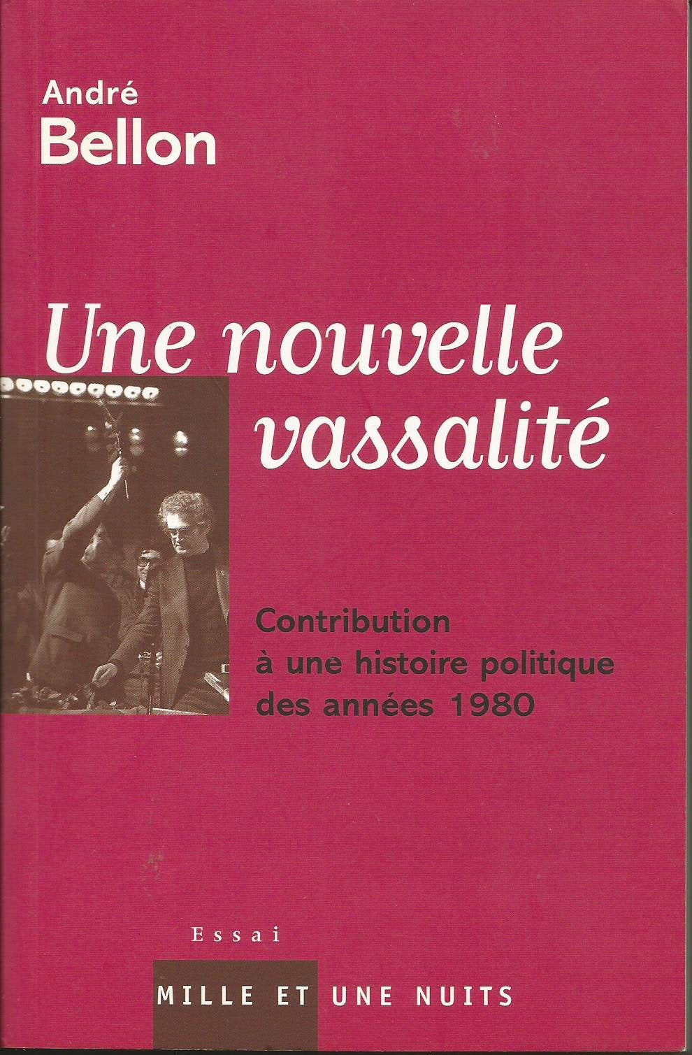 NOUVELLE VASSALITE HISTOIRE DES ANNEES 1980: Contribution à une histoire politique des années 1980 9782842059910