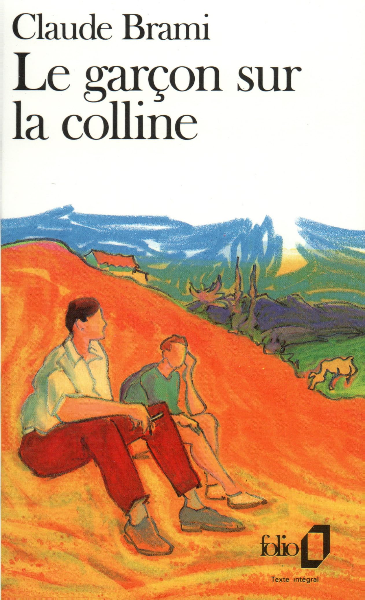 Le Garçon sur la colline 9782070373970