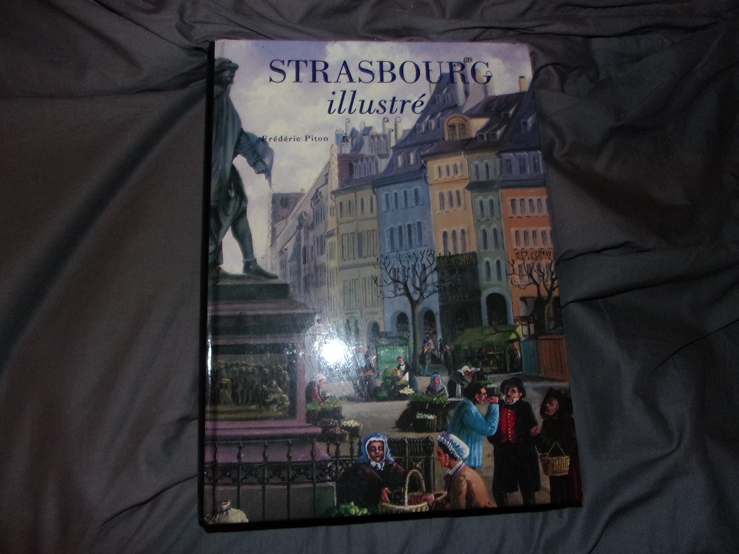 Strasbourg illustré 9782876287617