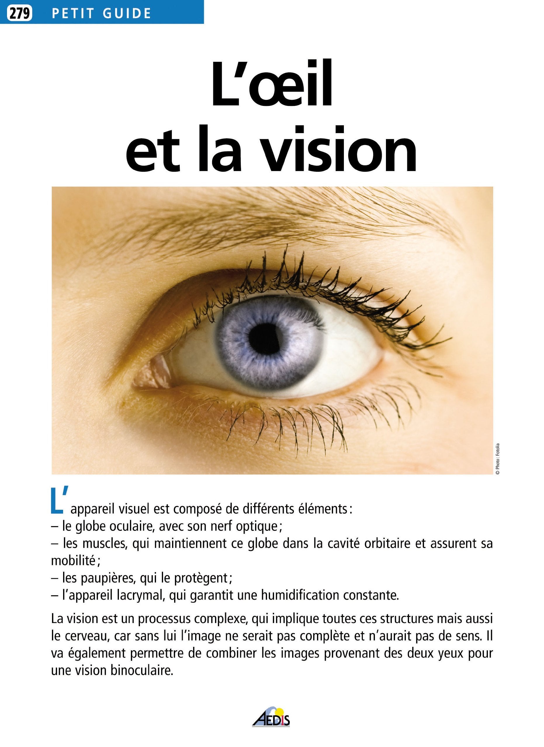 PG279 - L'oeil et la vision 9782842594114