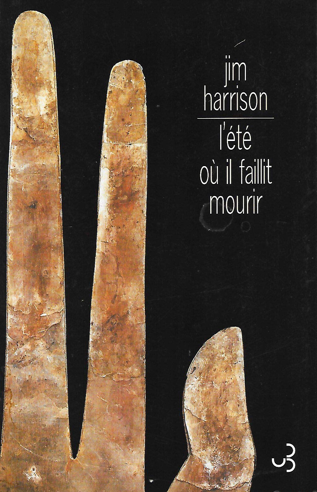 L'été où il faillit mourir 9782267018103