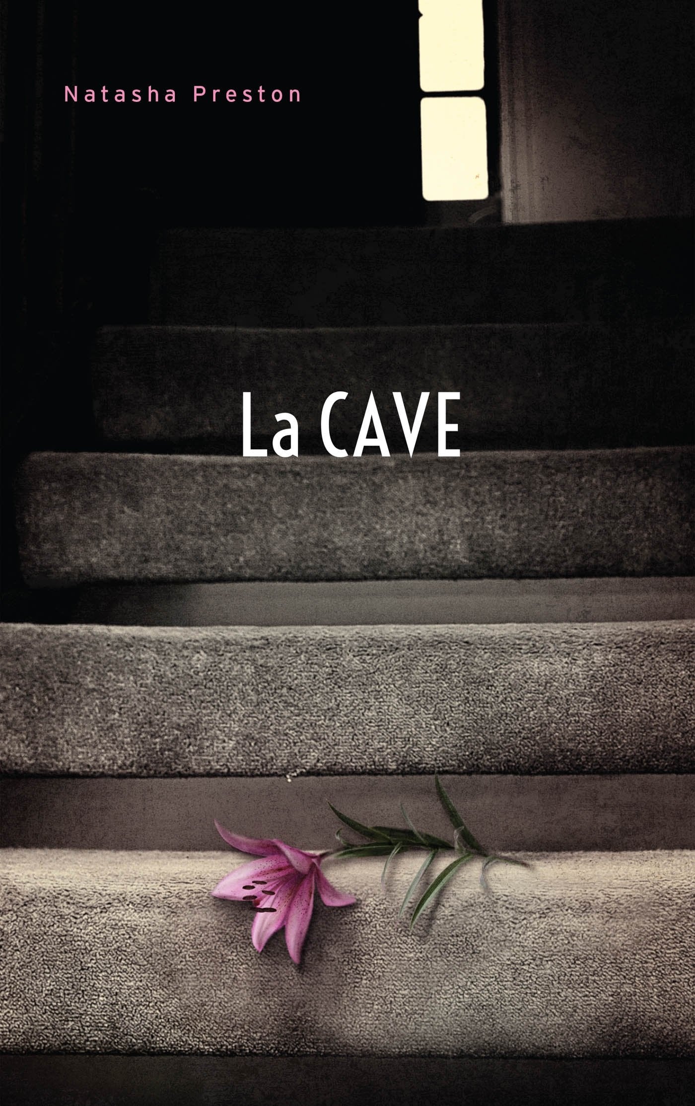 La cave (Titre original : The Cellar) 9782017028109