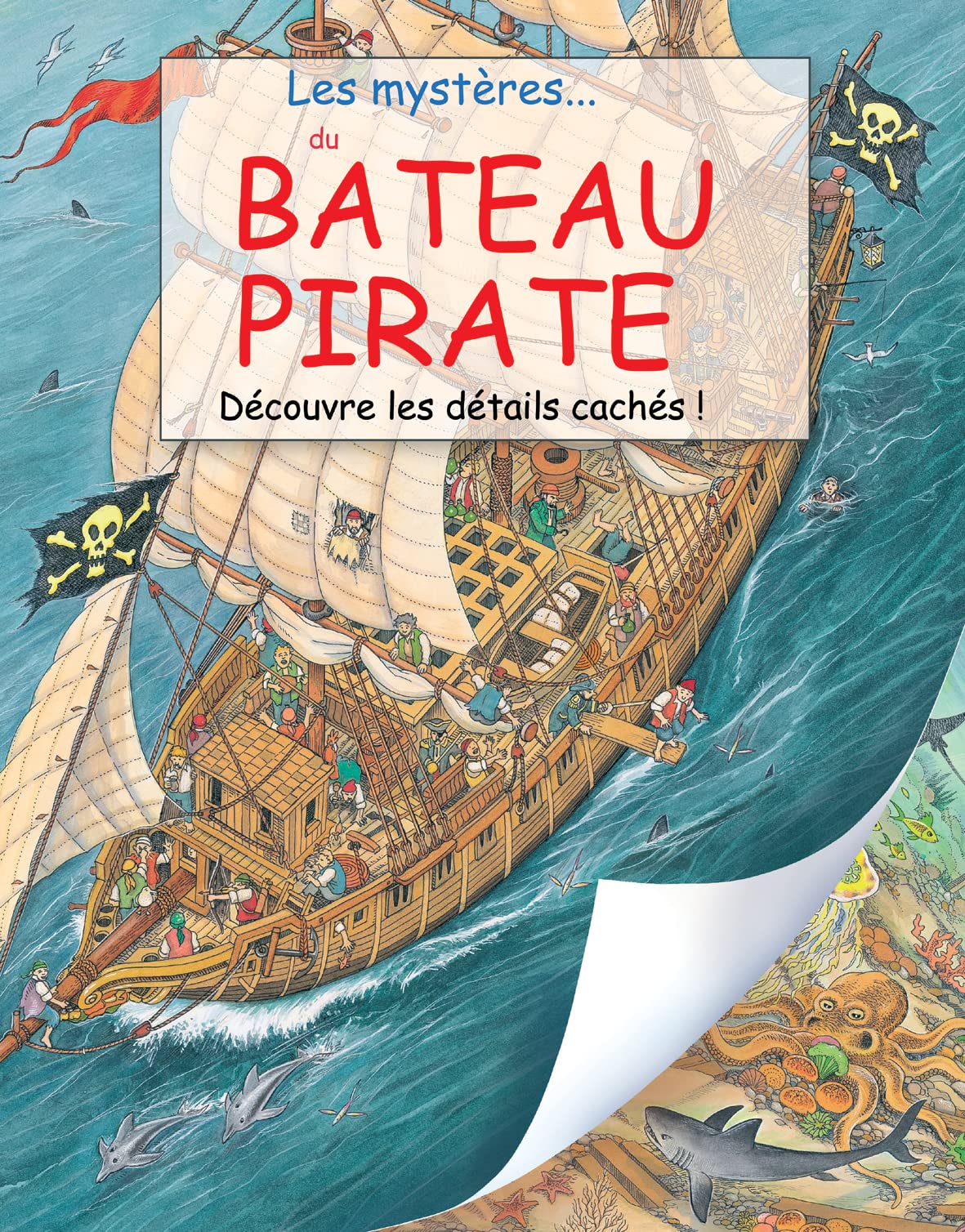 Les mystères du bateau pirate: découvre les détails cachés ! 9782842181291
