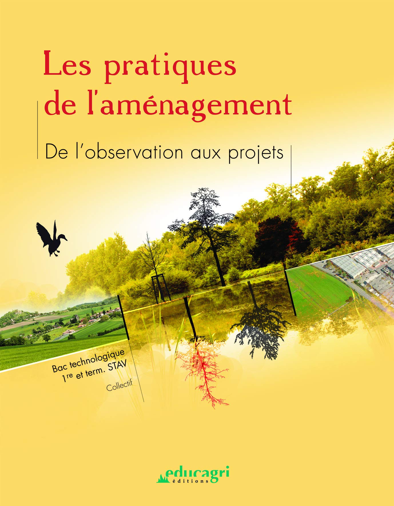 Les pratiques de l'aménagement 1re et Tle STAV: De l'observation aux projets 9782844446985