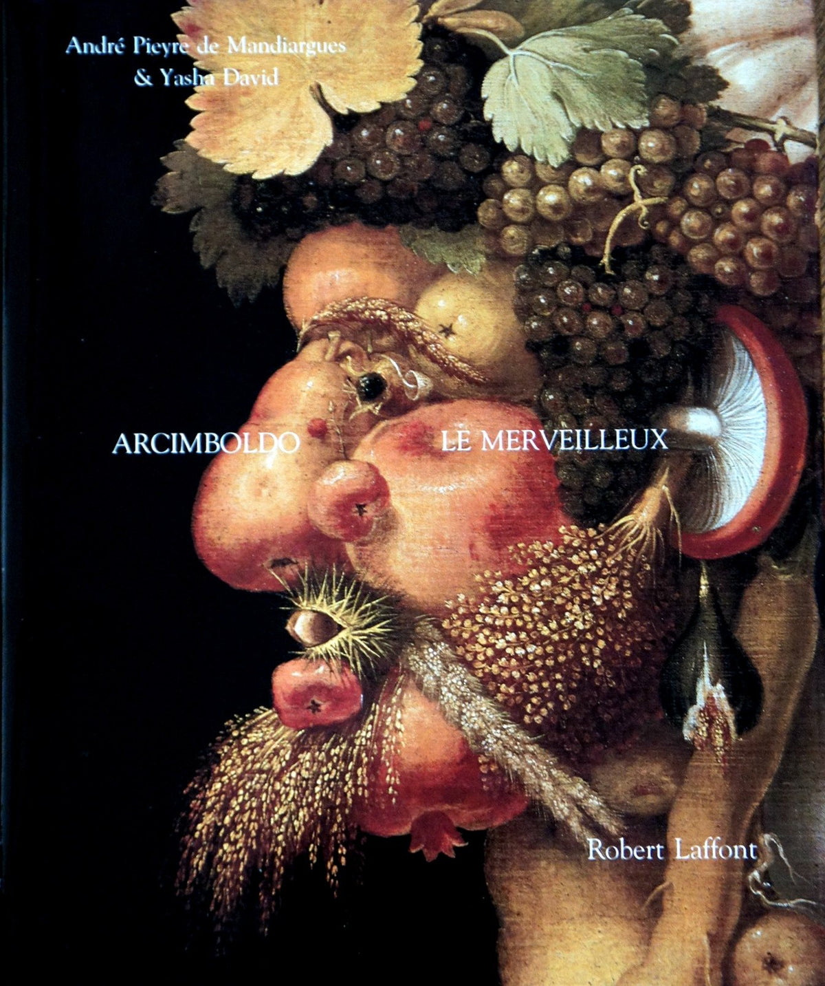 Arcimboldo le merveilleux 9782221501931