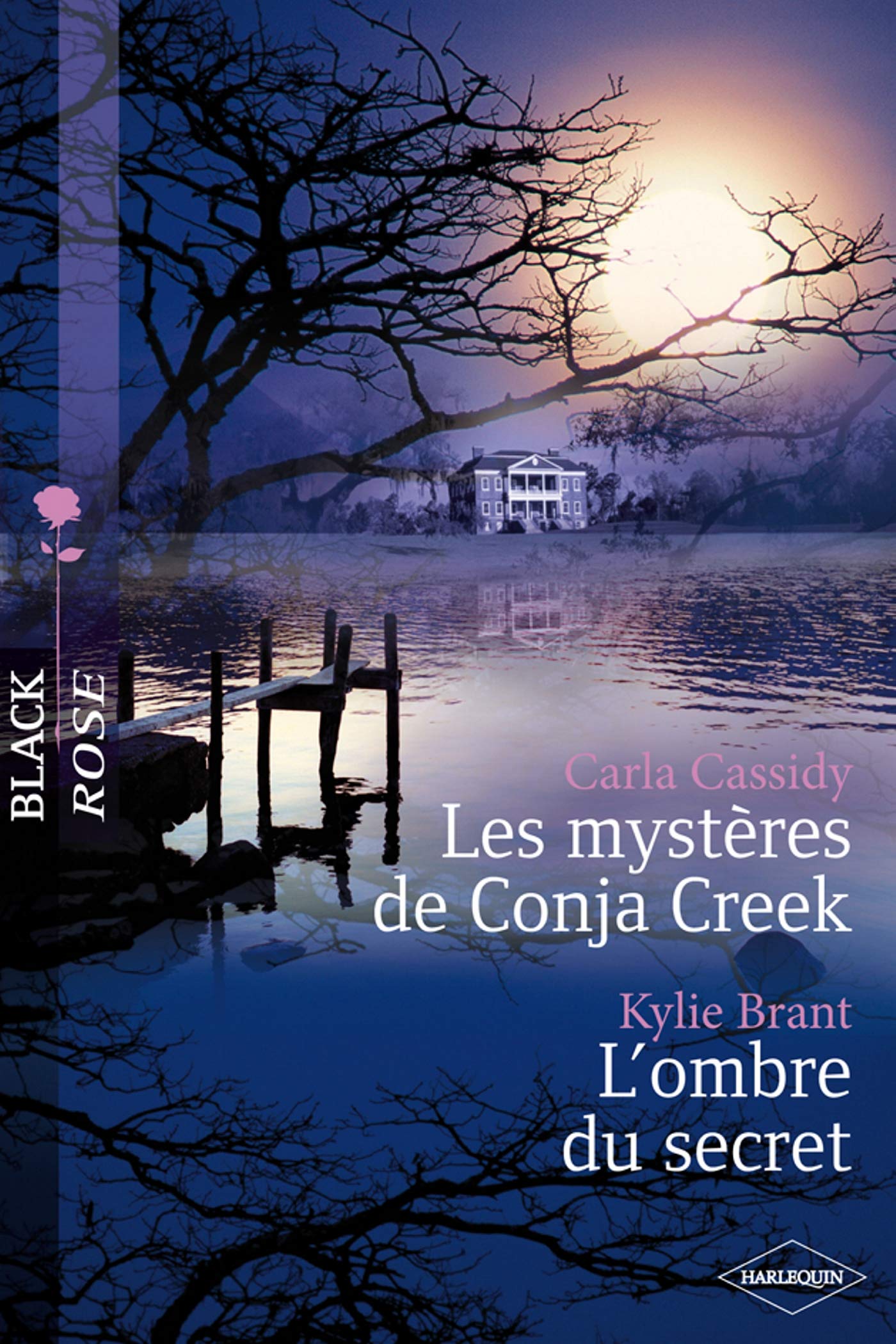 Les mystères de Conja Creek ; L'ombre du secret 9782280846080