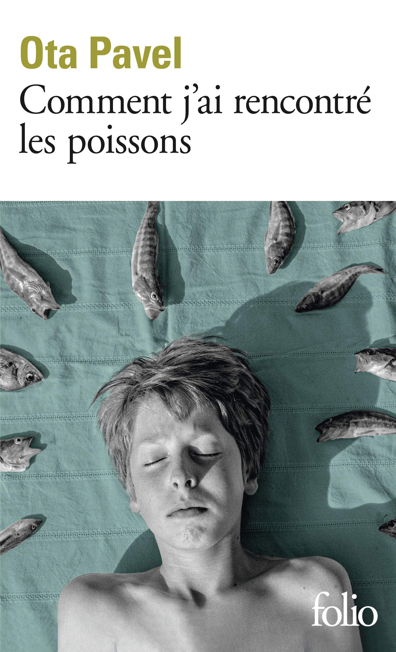 Comment j’ai rencontré les poissons 9782072864865