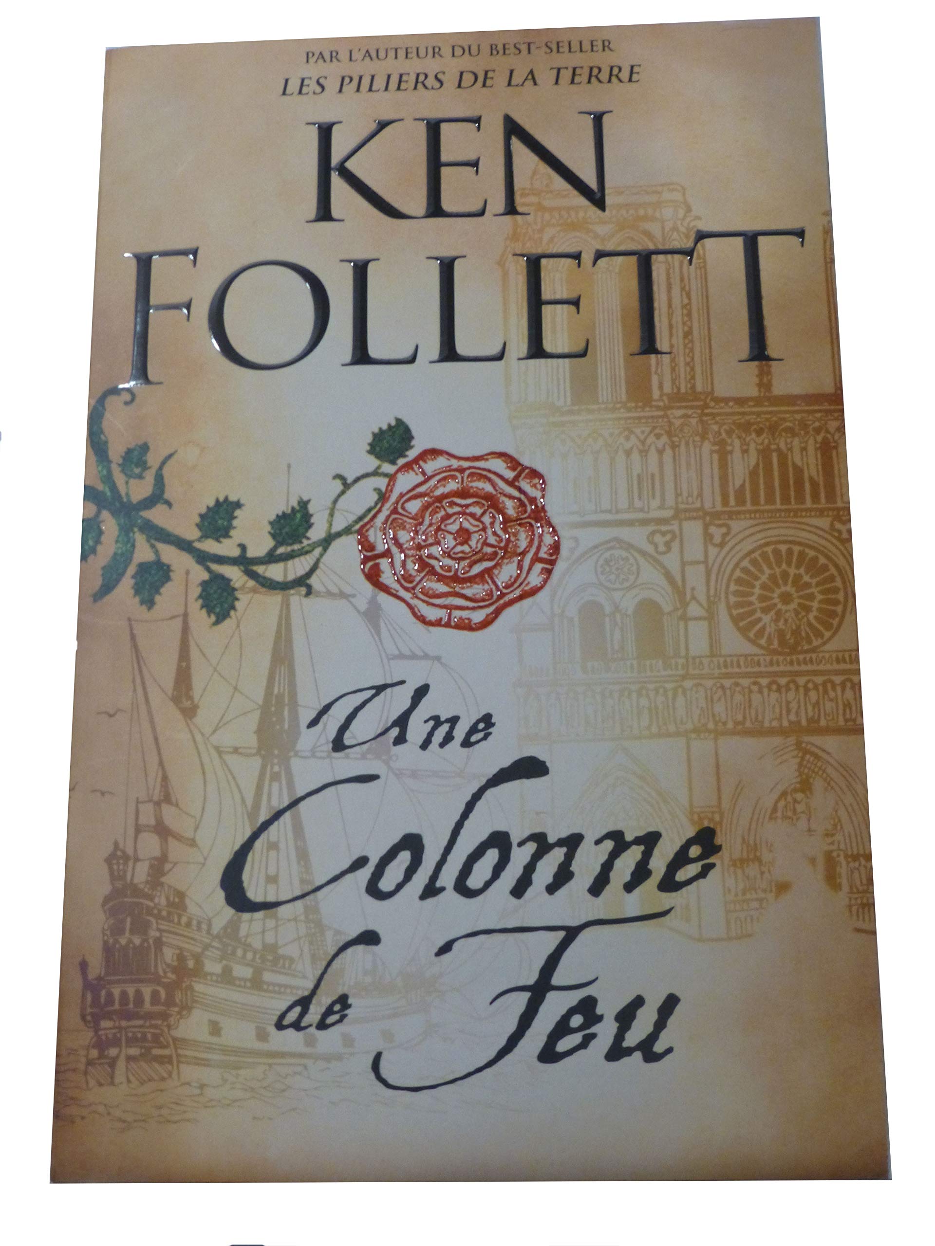 Les piliers de la terre tome 3 : une colonne de feu 9782286152628