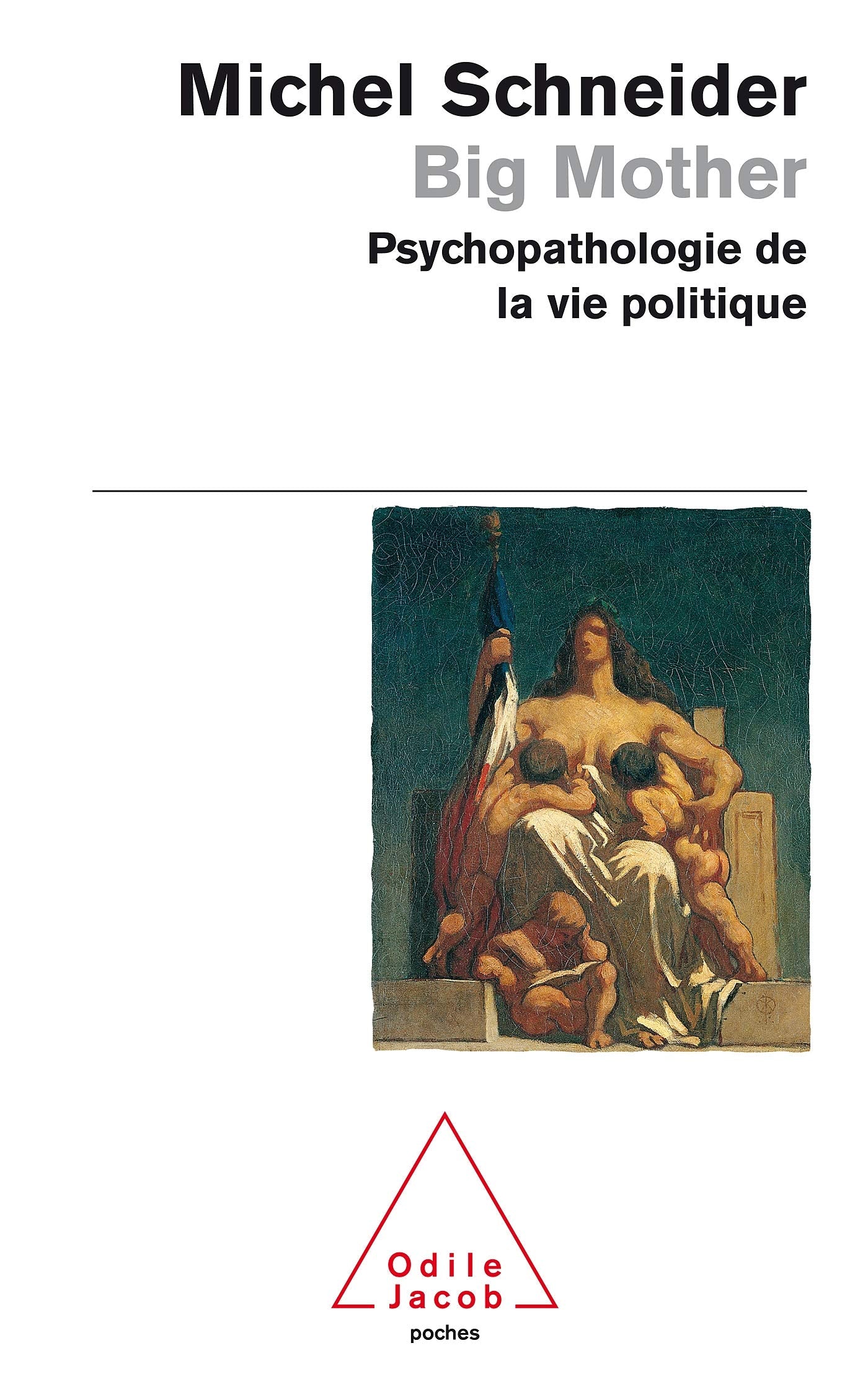 Big Mother: Psychopathologie de la vie politique 9782738115867